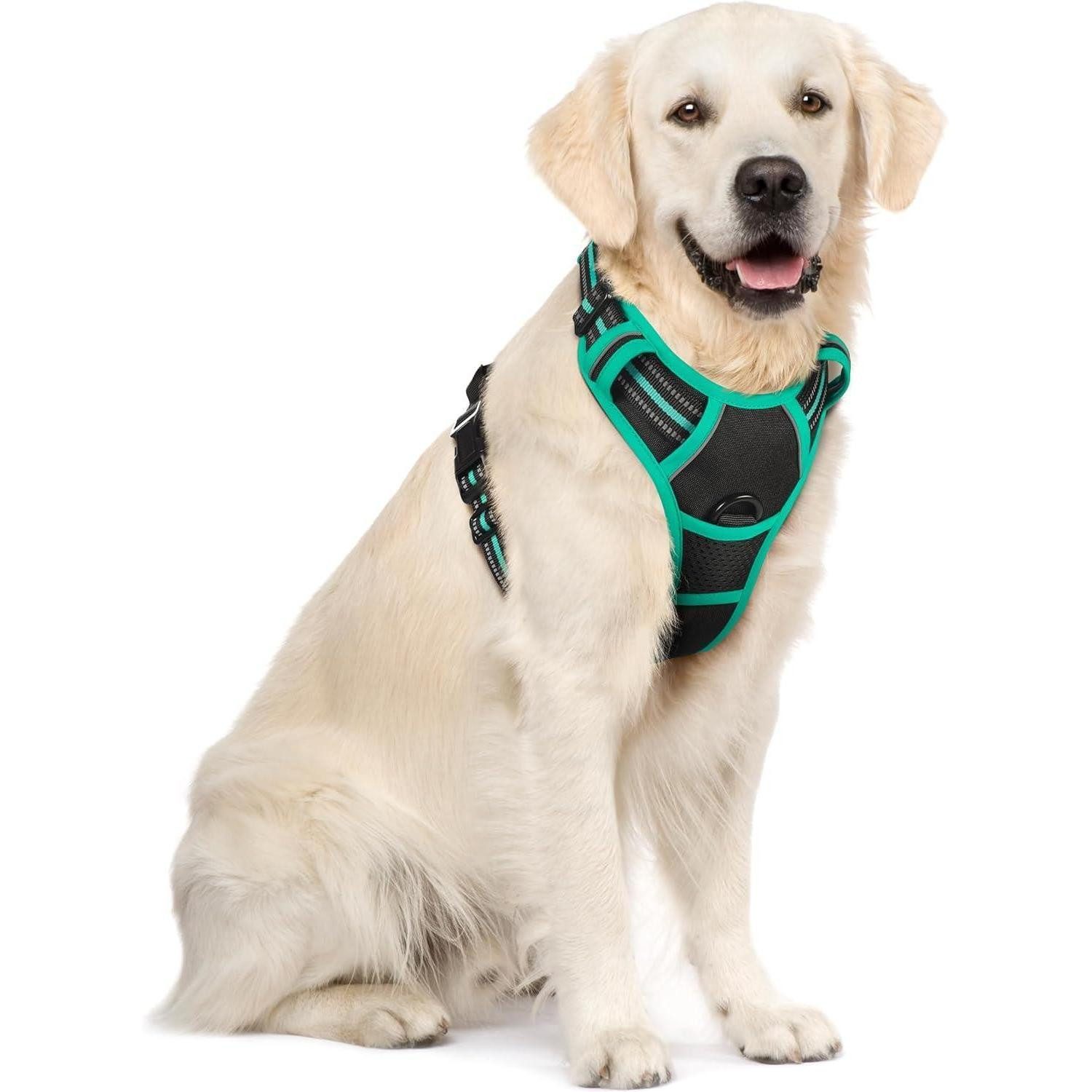 LuxusKollektion Hunde-Sicherheitsgeschirr Hundegeschirr Brustgeschirr NoPull Schwarz+Grün XL (1er Pack)