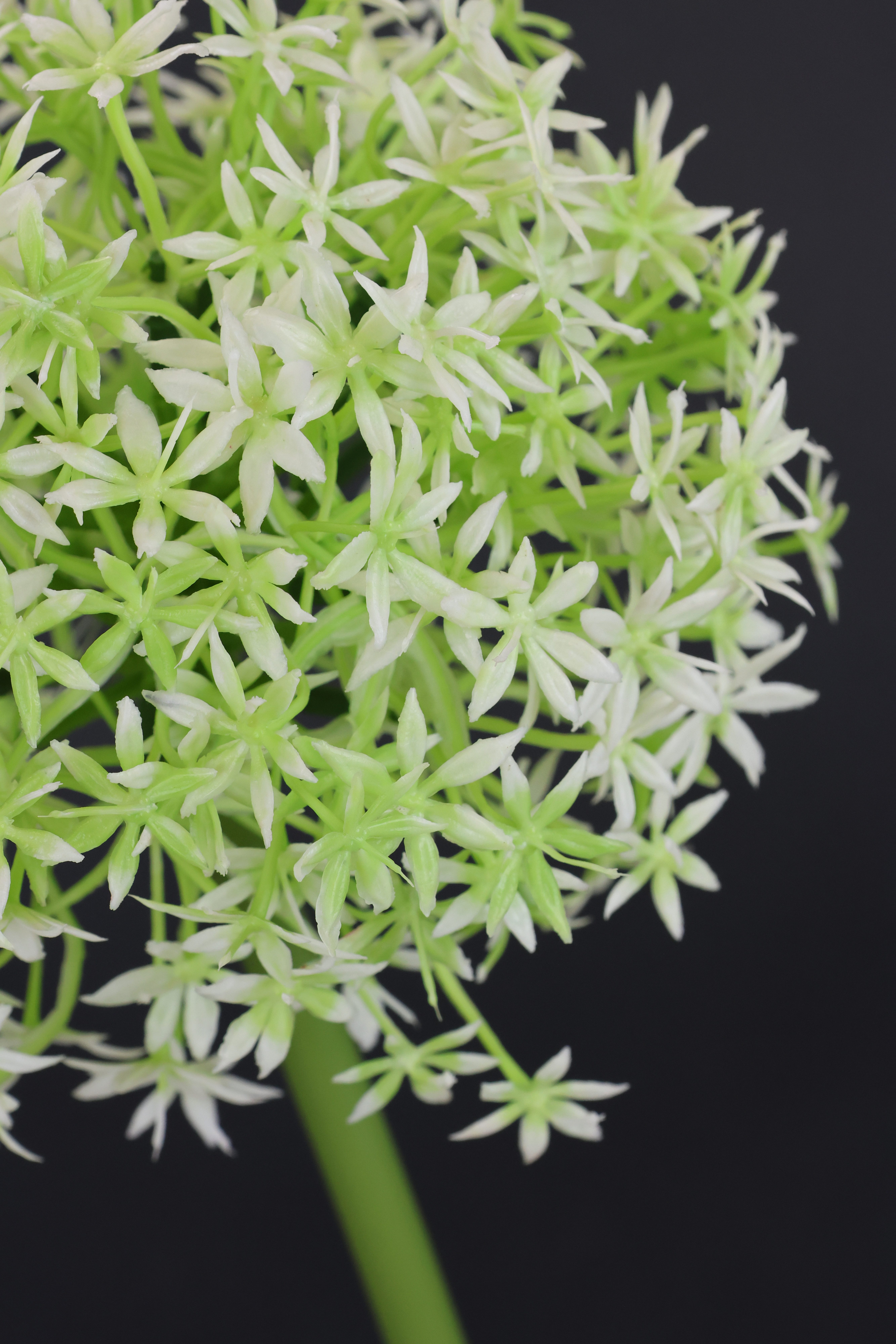 Kunstblume Allium Zierlauch, I.GE.A., Höhe 80 cm, Stielblume künstliche Blumen, 2er Set – Bild 4 von 4