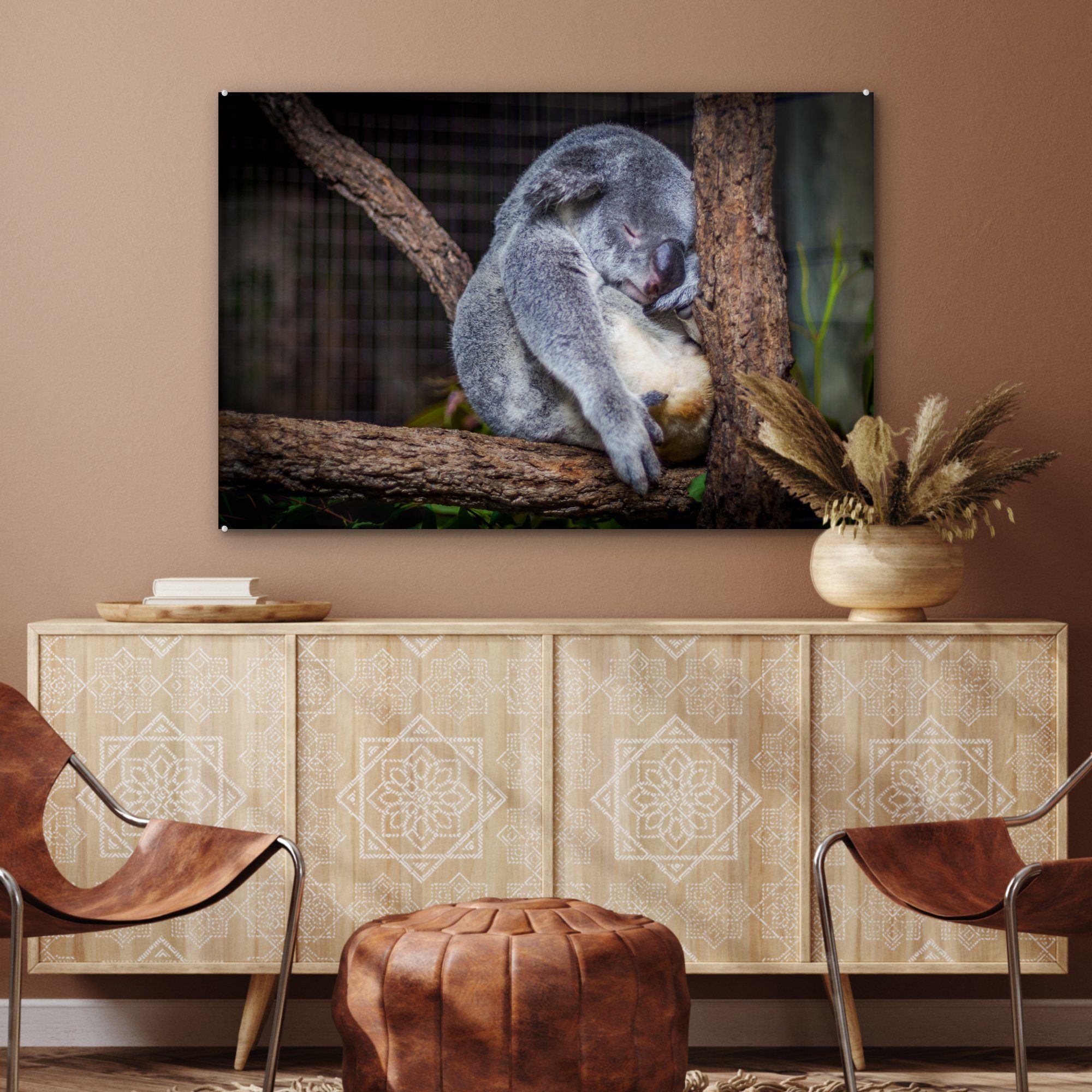 Acrylglasbild Koala Acrylglasbilder (1 - Australien Schlafzimmer - Wohnzimmer Bumm, MuchoWow St), &