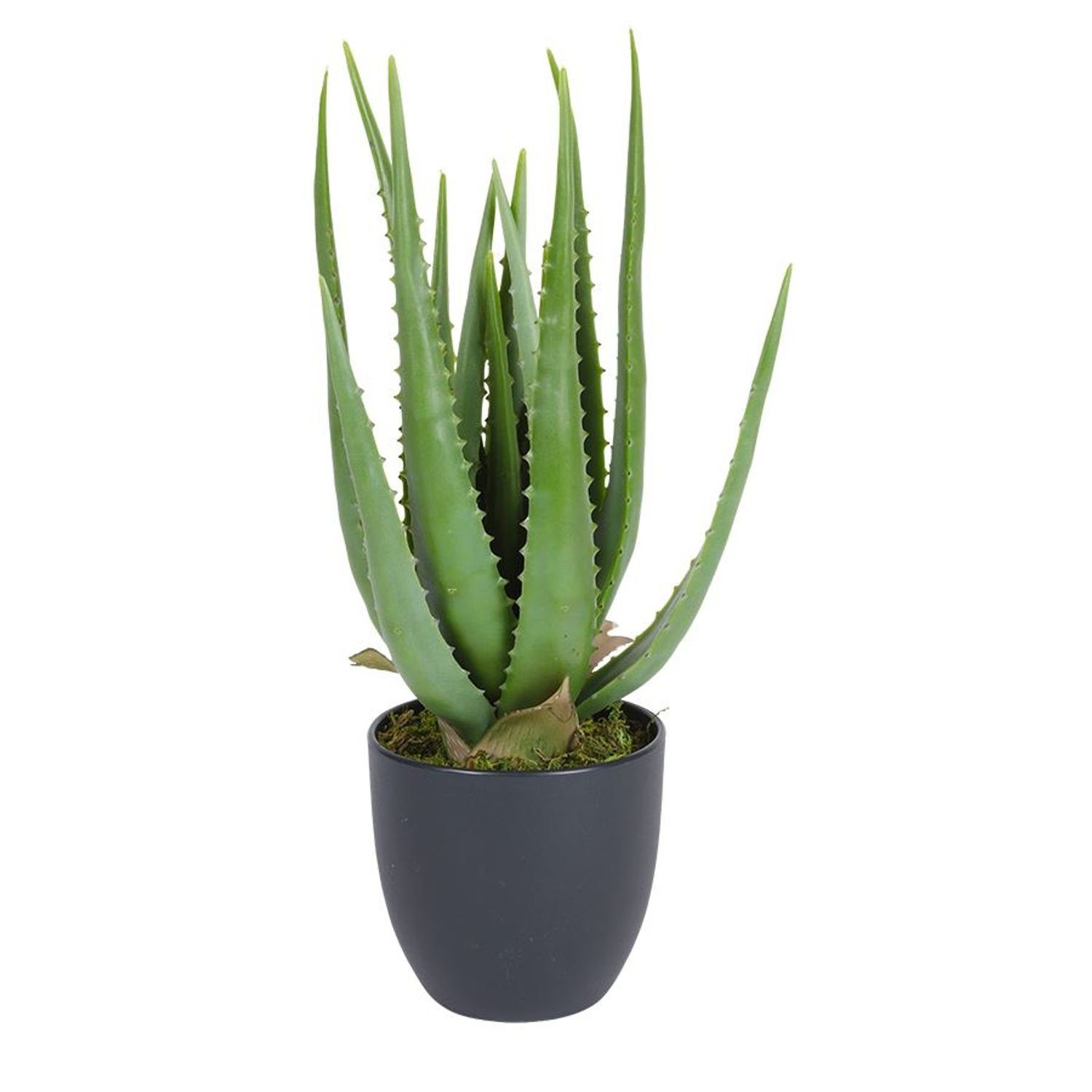 Kunstpflanze Künstliche BURI Aloe im Topf Dekopflanze Vera 45cm Kunstpflanze Blumentopf