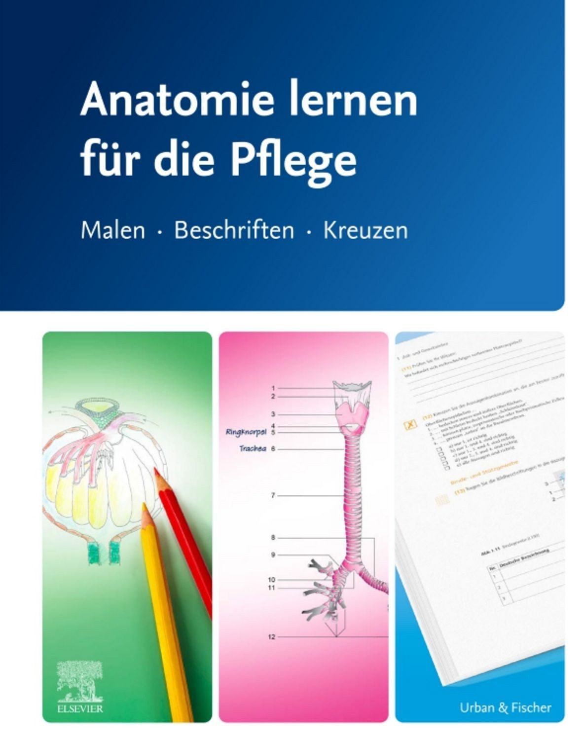 Anatomie lernen für die Pflege / diverse