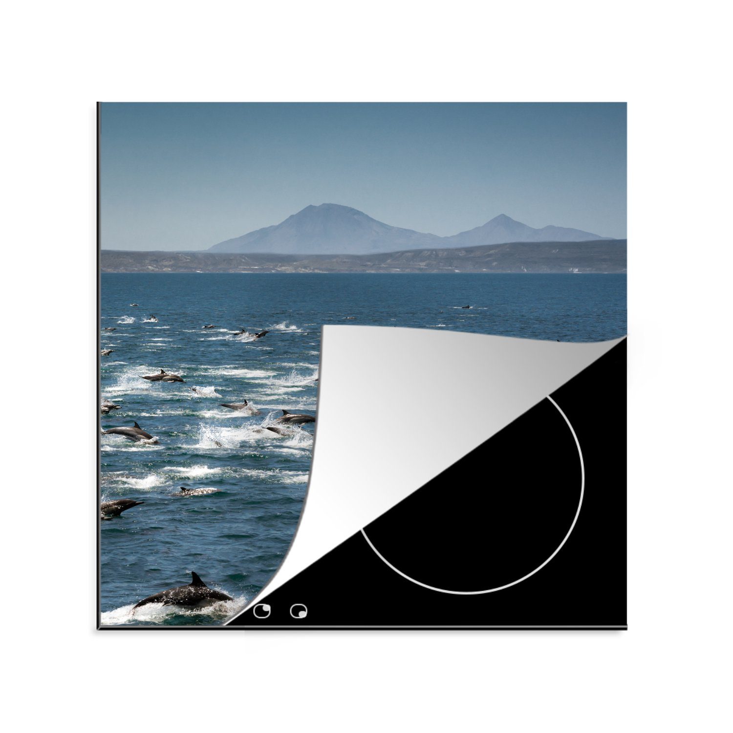 78x78 für tlg), - küche MuchoWow Meer, (1 cm, Ceranfeldabdeckung, Delfin Vinyl, Arbeitsplatte Wasser - Herdblende-/Abdeckplatte
