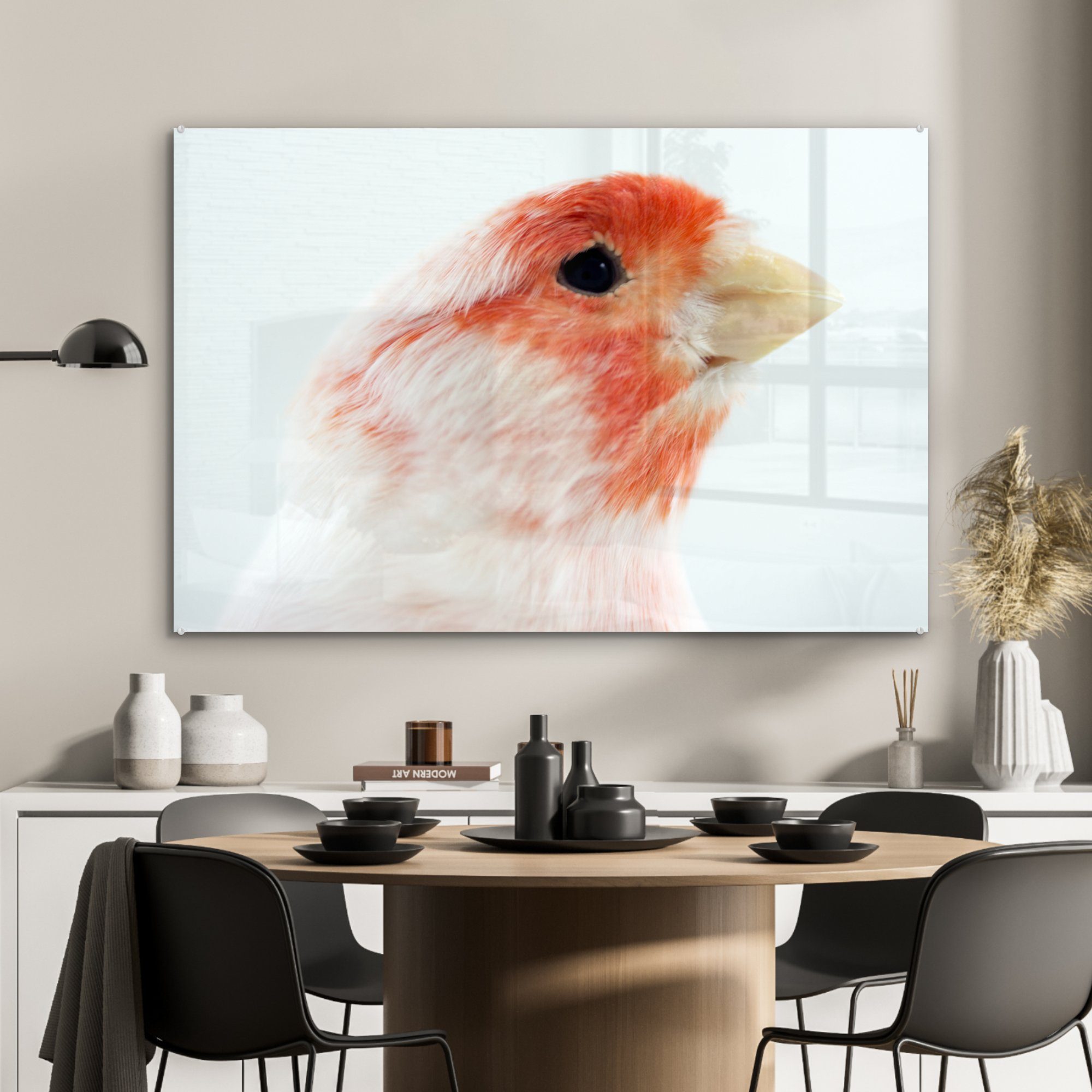 & Acrylglasbilder Acrylglasbild Roter Schlafzimmer weißer Kanarienvogel, Wohnzimmer und St), MuchoWow (1
