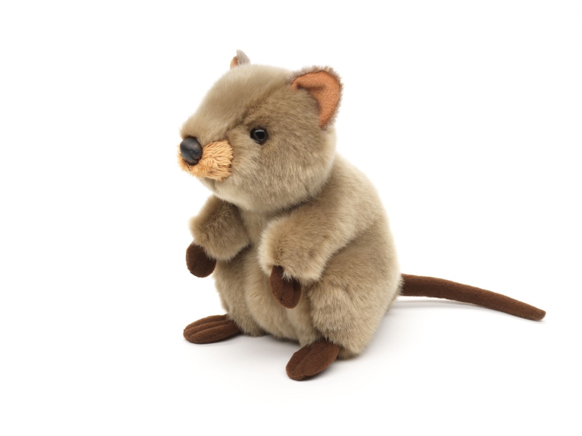 Teddys Rothenburg Kuscheltier Quokka hellbraun stehend 18 cm Plüschquokka Stofftier (Plüschtier, Stoffquokka)