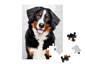 puzzleYOU Puzzle Studio-Porträt von Berner Sennenhund, 48 Puzzleteile, puzzleYOU-Kollektionen Hunde, Berner Sennenhund