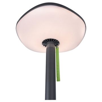 click-licht LED Solarleuchte LED Solar Außenstehleuchte Poppy in Anthrazit und Grün IP54, keine Angabe, Leuchtmittel enthalten: Ja, fest verbaut, LED, warmweiss, Solarleuchten