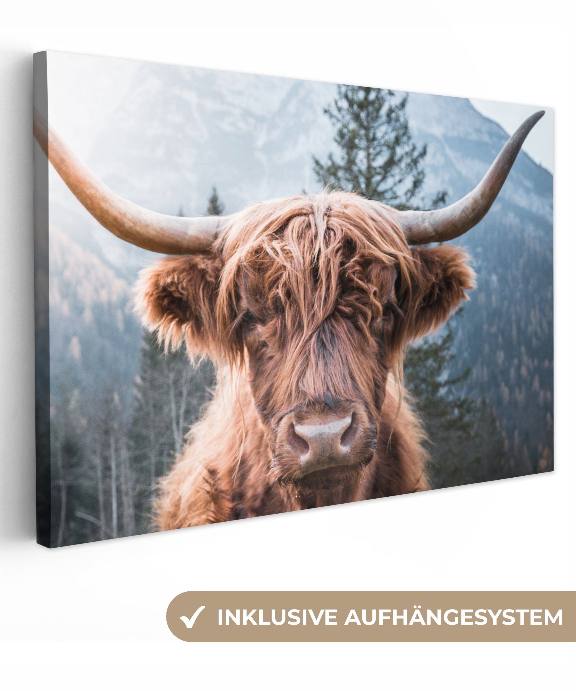 OneMillionCanvasses® Leinwandbild Schottischer Highlander - Berge - Porträt, (1 St), Wandbild Leinwandbilder, Aufhängefertig, Wanddeko, 30x20 cm bunt