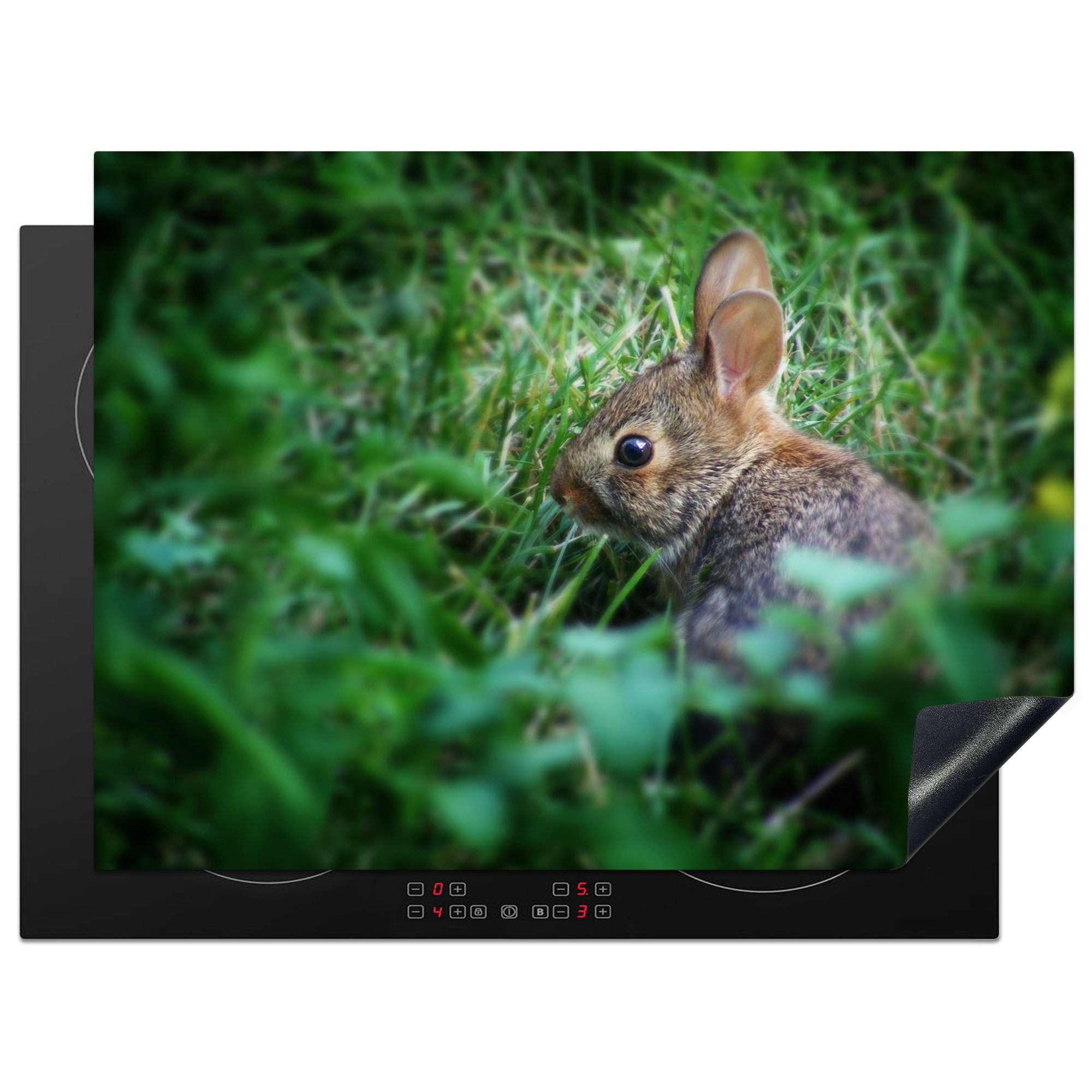 Kaninchen Herdblende-/Abdeckplatte - Baby MuchoWow - cm, 70x52 Mobile Gras, Arbeitsfläche nutzbar, Vinyl, Ceranfeldabdeckung (1 tlg),