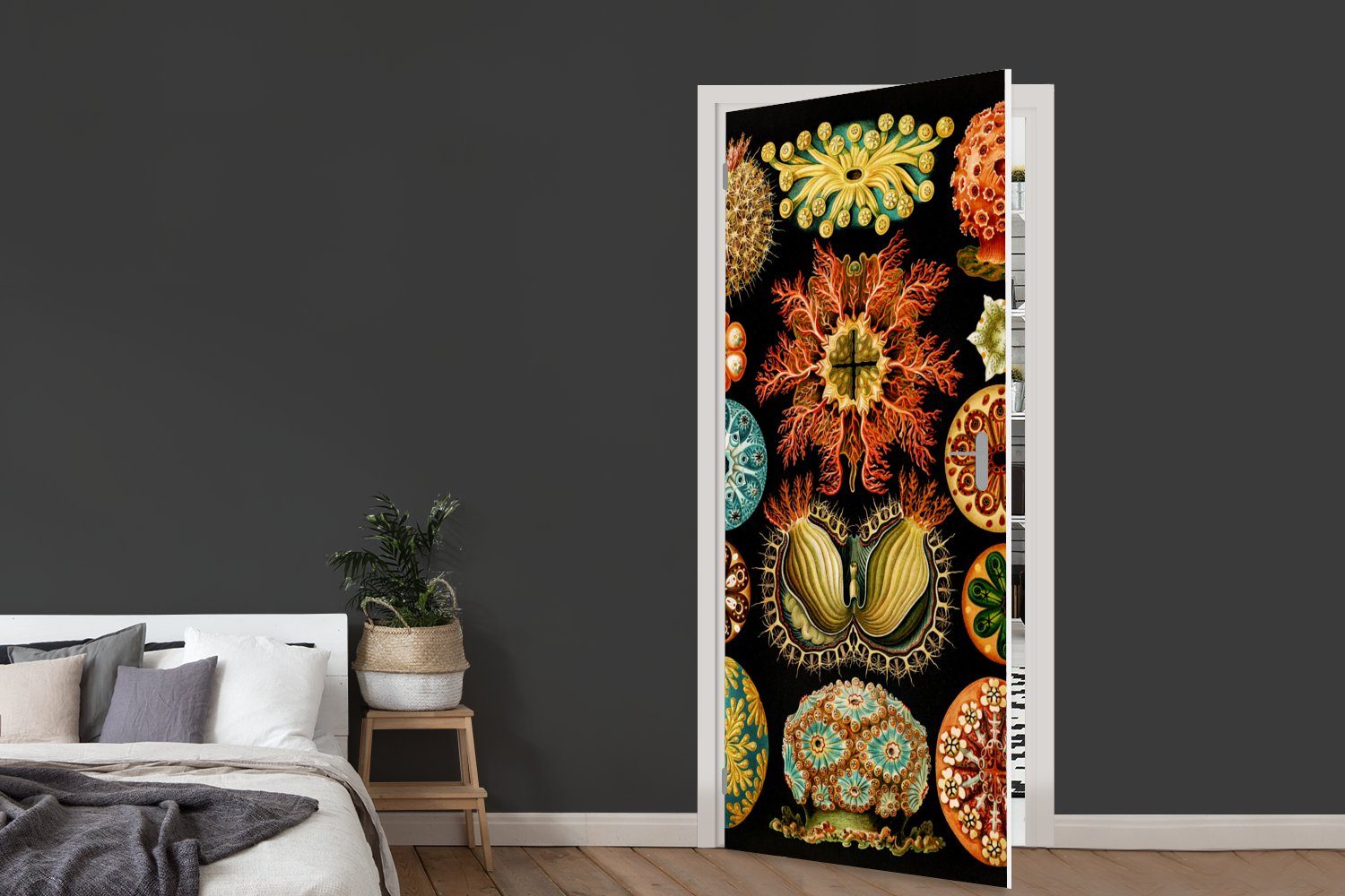 cm - Türtapete - Vintage Natur Türaufkleber, Meer bedruckt, für St), Meerestier Haeckel Ernst Tür, - - - MuchoWow 75x205 Kunst, Fototapete (1 Matt,