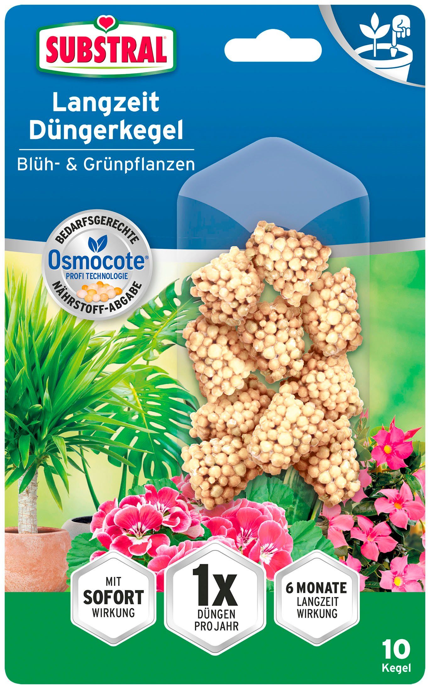 Substral Spezialdünger Langzeit Düngerkegel Blüh & Grünpflanzen, 10St.