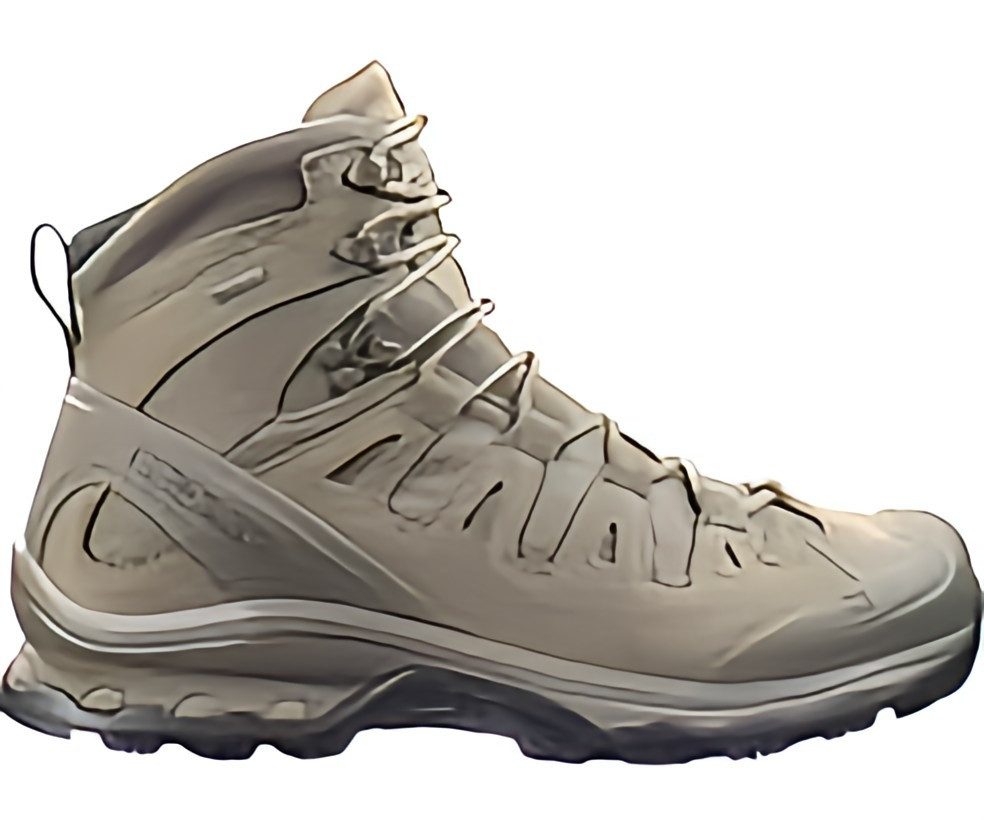 Salomon Quest 4 D GTX Forces EN Wanderschuh