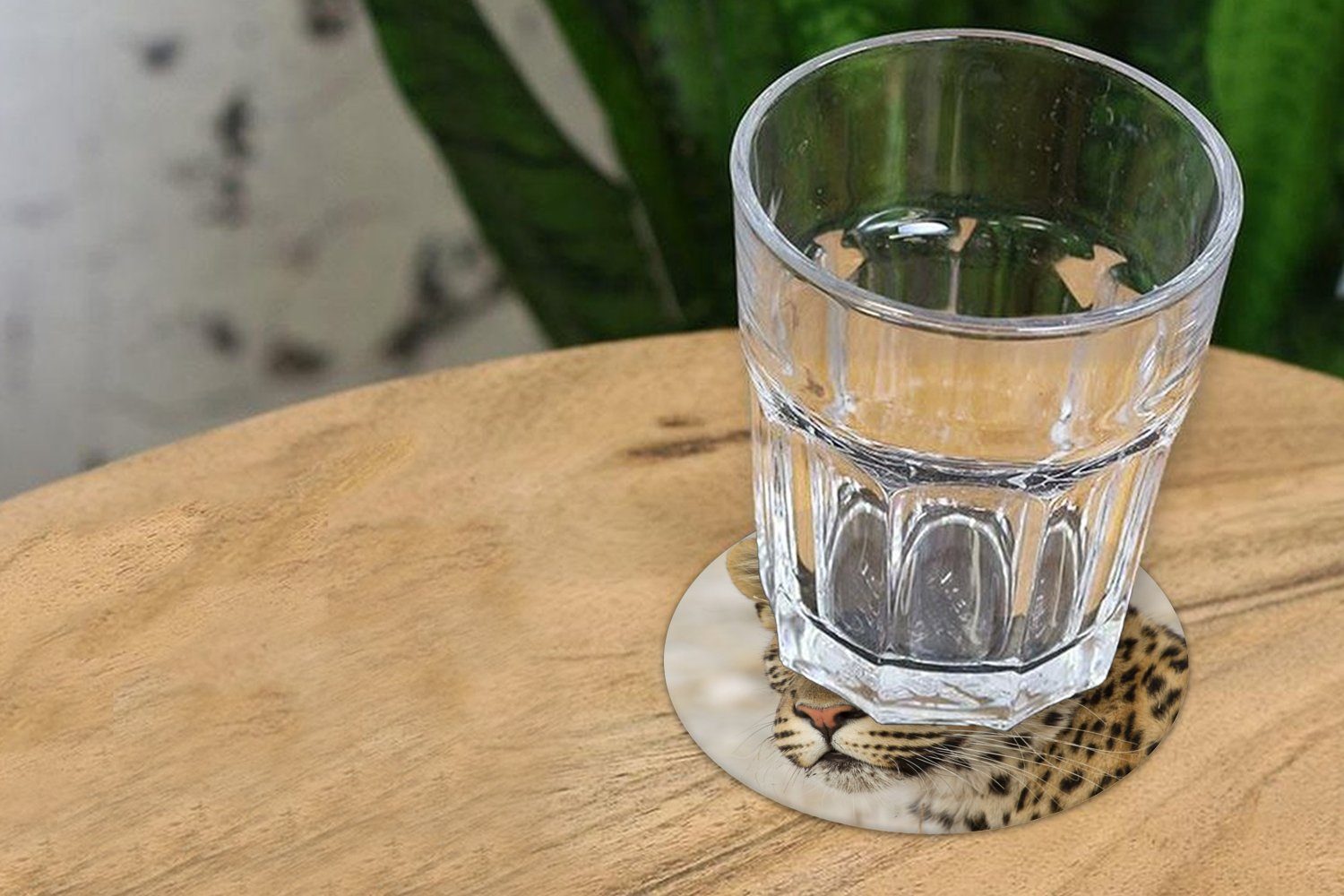 Leopard Becher Korkuntersetzer, - MuchoWow Glasuntersetzer Getränkeuntersetzer, - für Makro Braun, Gläser, Tasse, Tassenuntersetzer, Zubehör 6-tlg.,