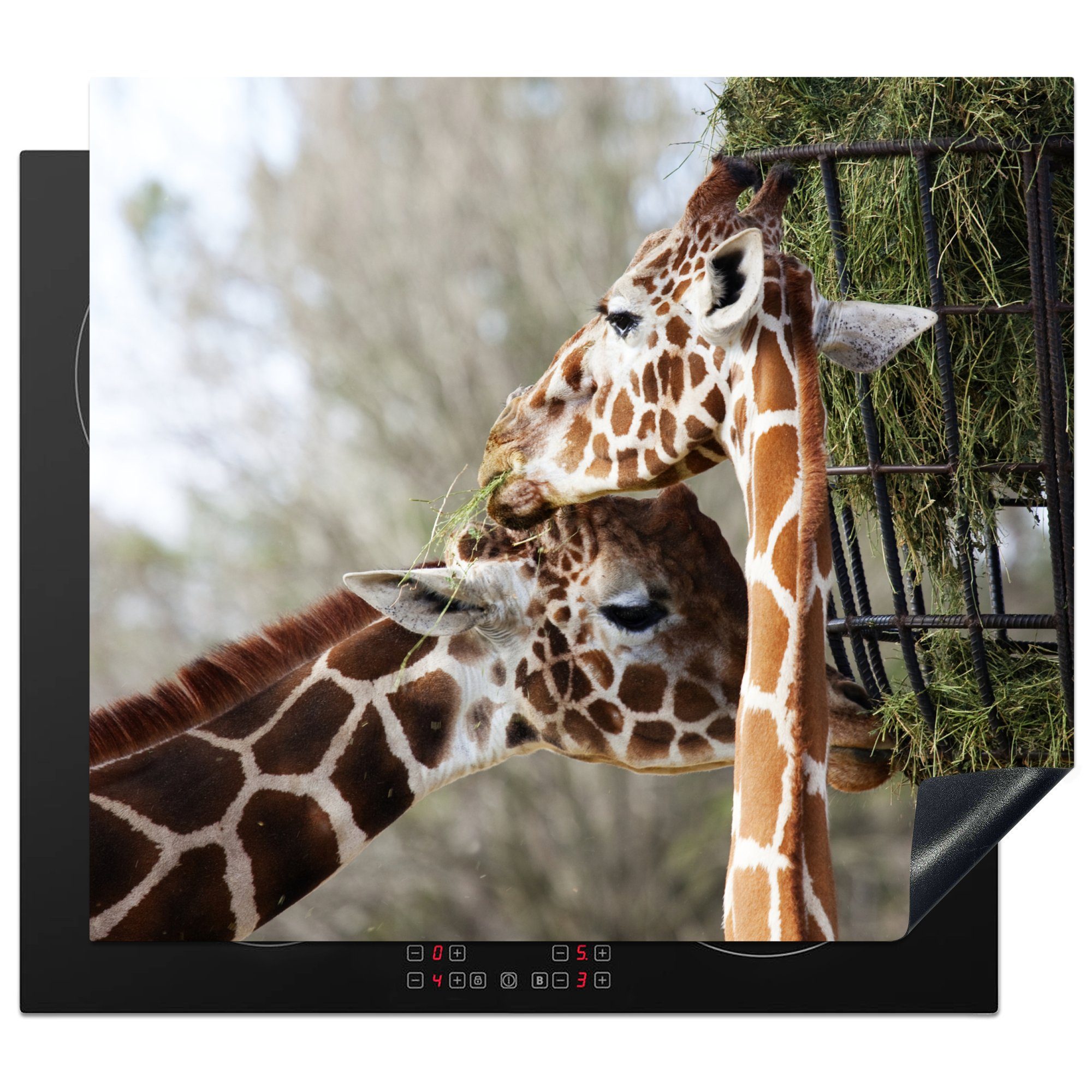 MuchoWow Herdblende-/Abdeckplatte Tiere - Giraffe - Zoo, Vinyl, (1 tlg), 60x52 cm, Mobile Arbeitsfläche nutzbar, Ceranfeldabdeckung