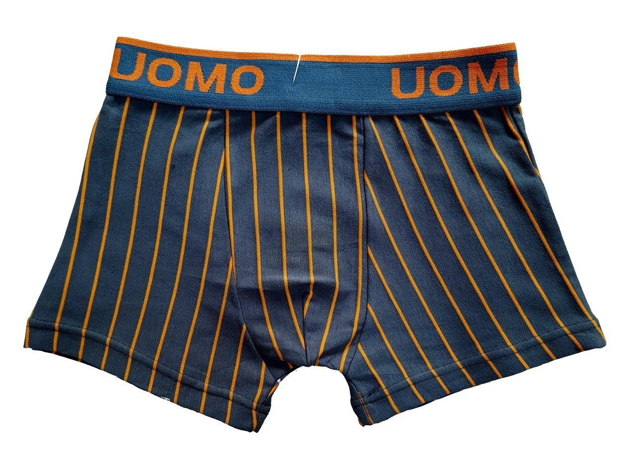 Fashion Boy Boxershorts Boxershorts, Unterhosen, Mehrfarbig 6 Stück Pkg. JB3089