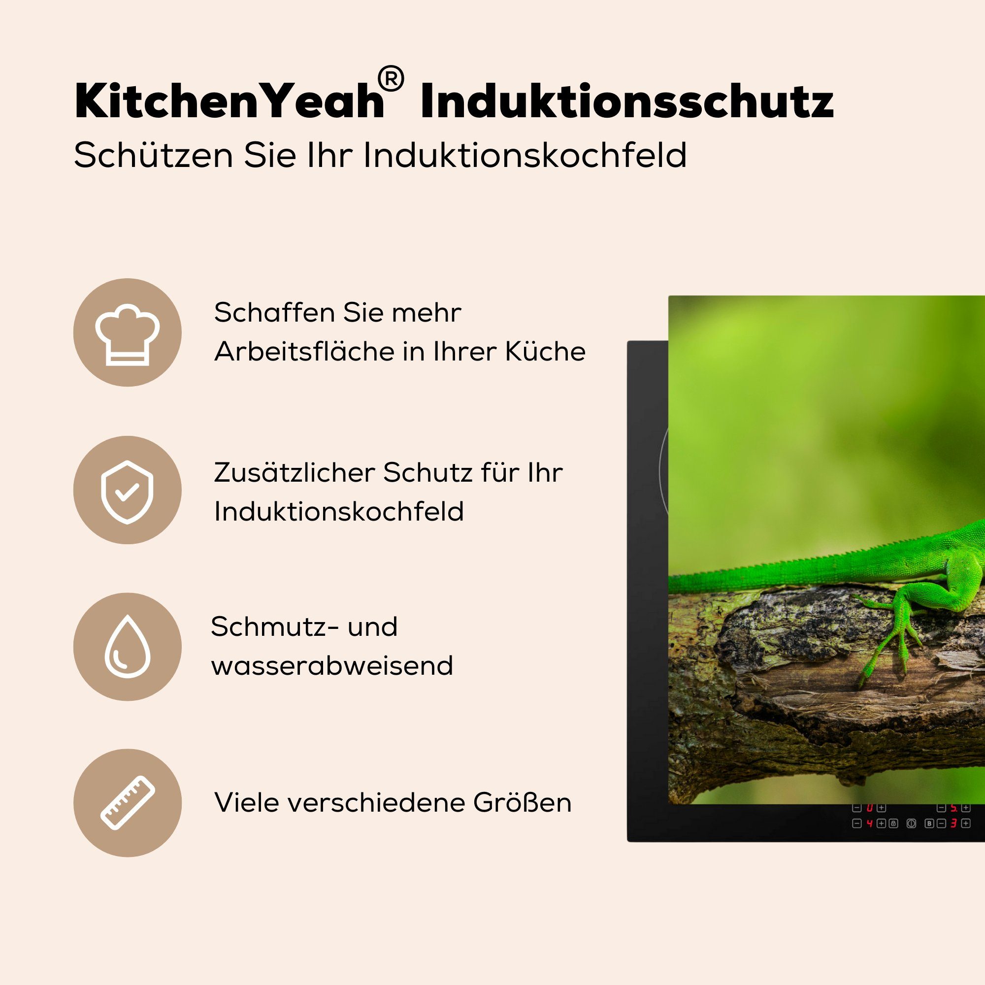 (1 einem Vinyl, Induktionskochfeld Grüner MuchoWow 81x52 Herdblende-/Abdeckplatte für küche, Schutz Ceranfeldabdeckung cm, Baumstumpf, auf die tlg), Gecko
