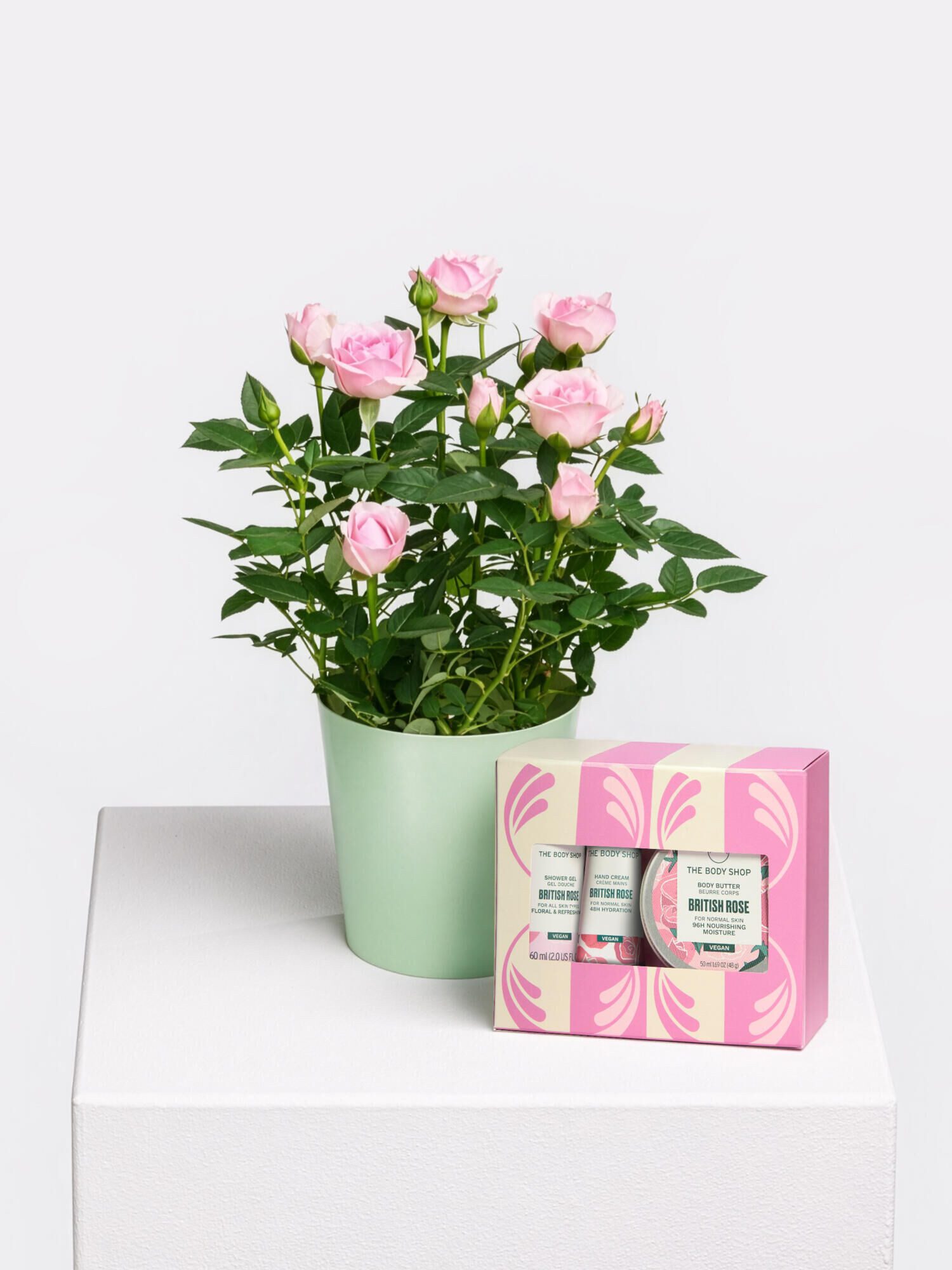 Fleurop Zimmerpflanze Pot Rose 'Beauty' mit Body Shop Set