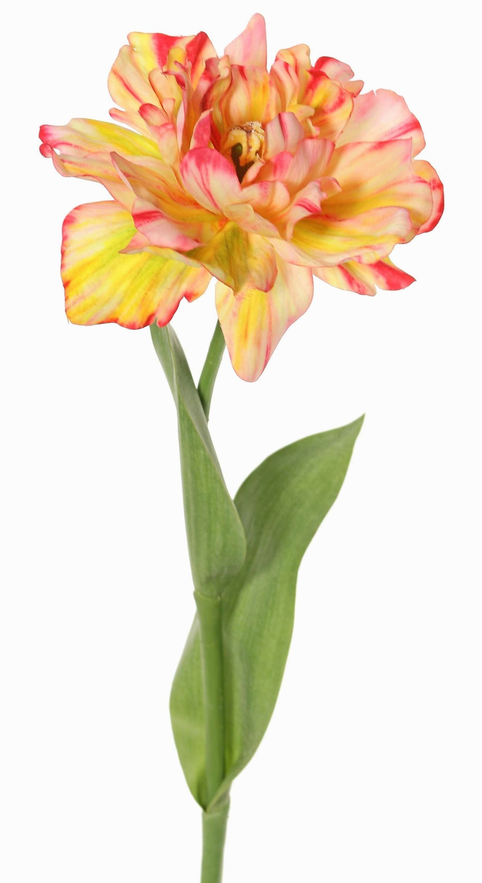 Kunsttulpe Kunst Papageientulpe Stefanie, gelb-pink, 65cm, Ø13cm Tulpe (Papageientulpe), artplants