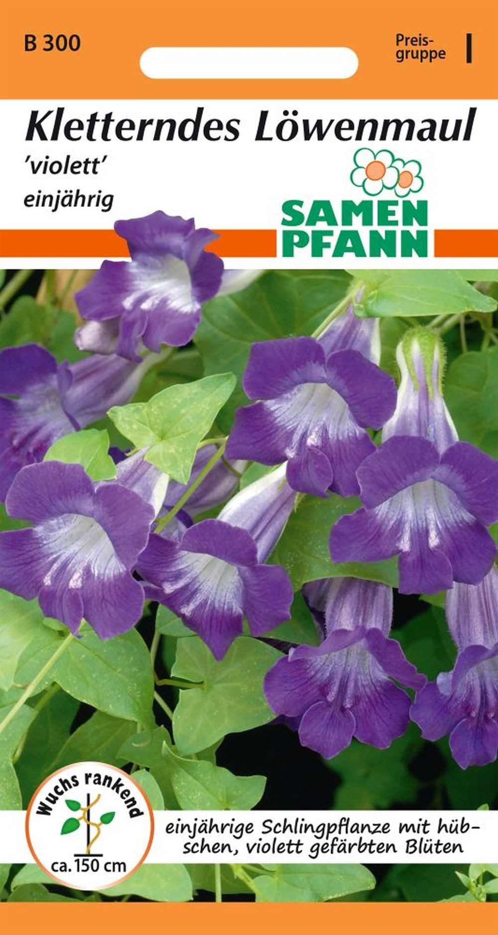 SAMEN PFANN Blumensamen Kletterndes Löwenmäulchen - Löwenmaul-Samen Saatgut Samen, Asarina barclaiana