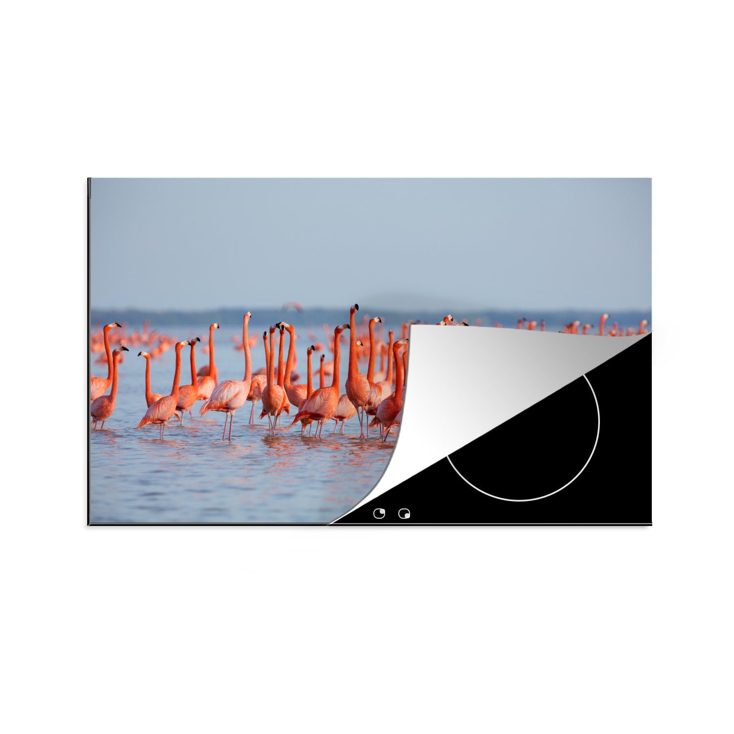 MuchoWow Herdblende-/Abdeckplatte Große Gruppe von Flamingos im Wasser, Vinyl, (1 tlg), 81x52 cm, Induktionskochfeld Schutz für die küche, Ceranfeldabdeckung