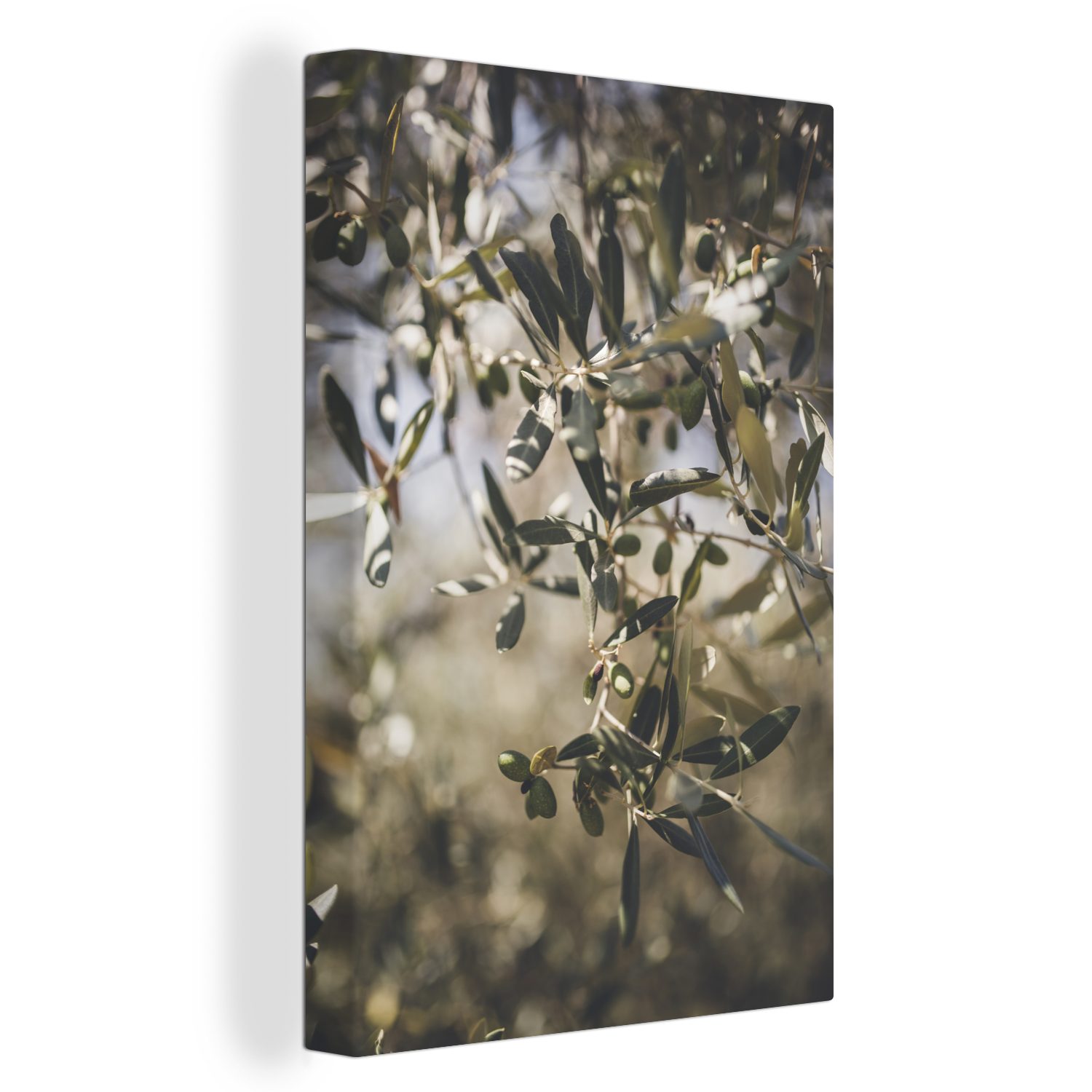 (1 Sommer, St), Gemälde, bespannt Zackenaufhänger, OneMillionCanvasses® Olivenbaum 20x30 cm Leinwandbild inkl. fertig im Leinwandbild