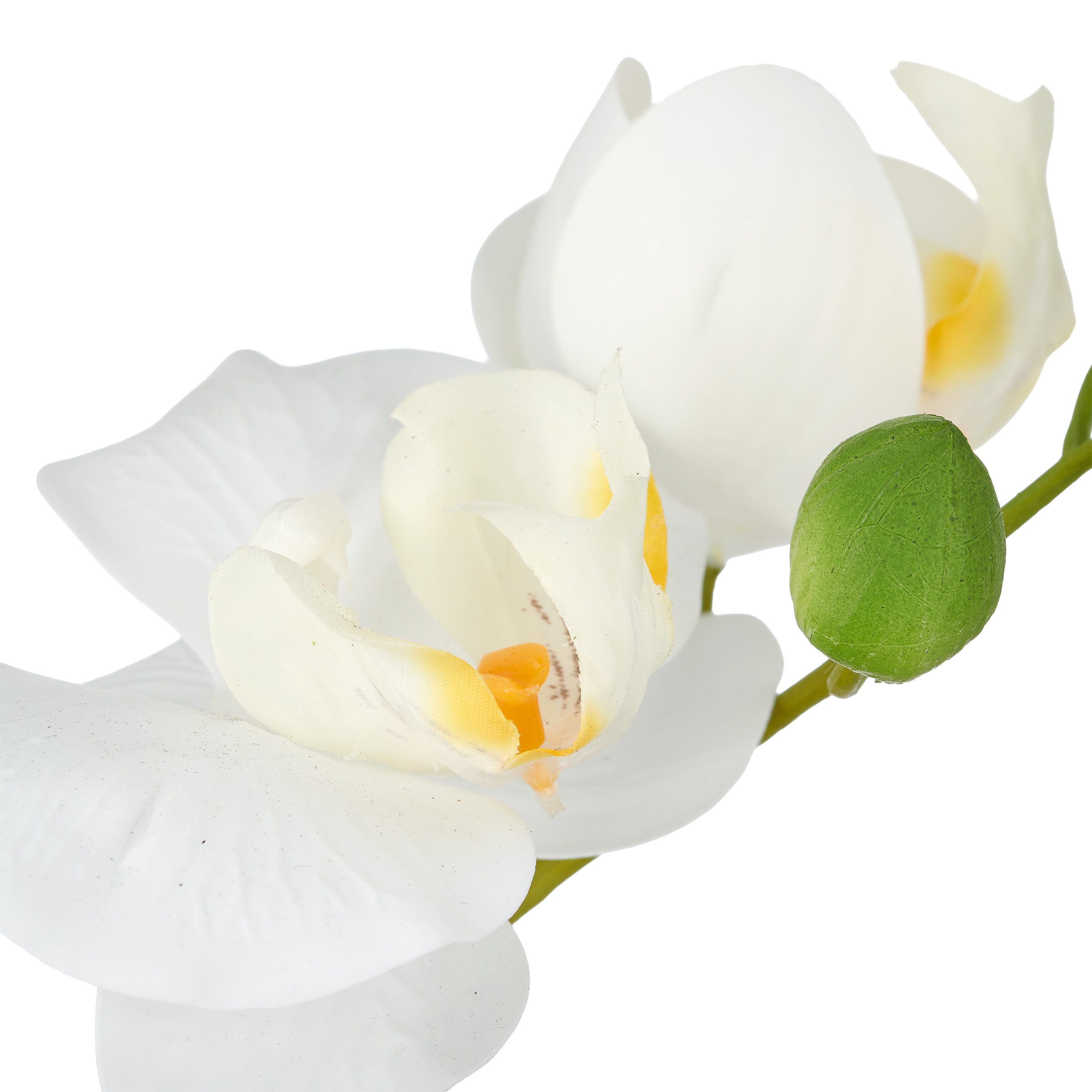 Kunstorchidee Phalaenopsis, Creativ green, Höhe 38 cm, mit Real-Touch-Blüten