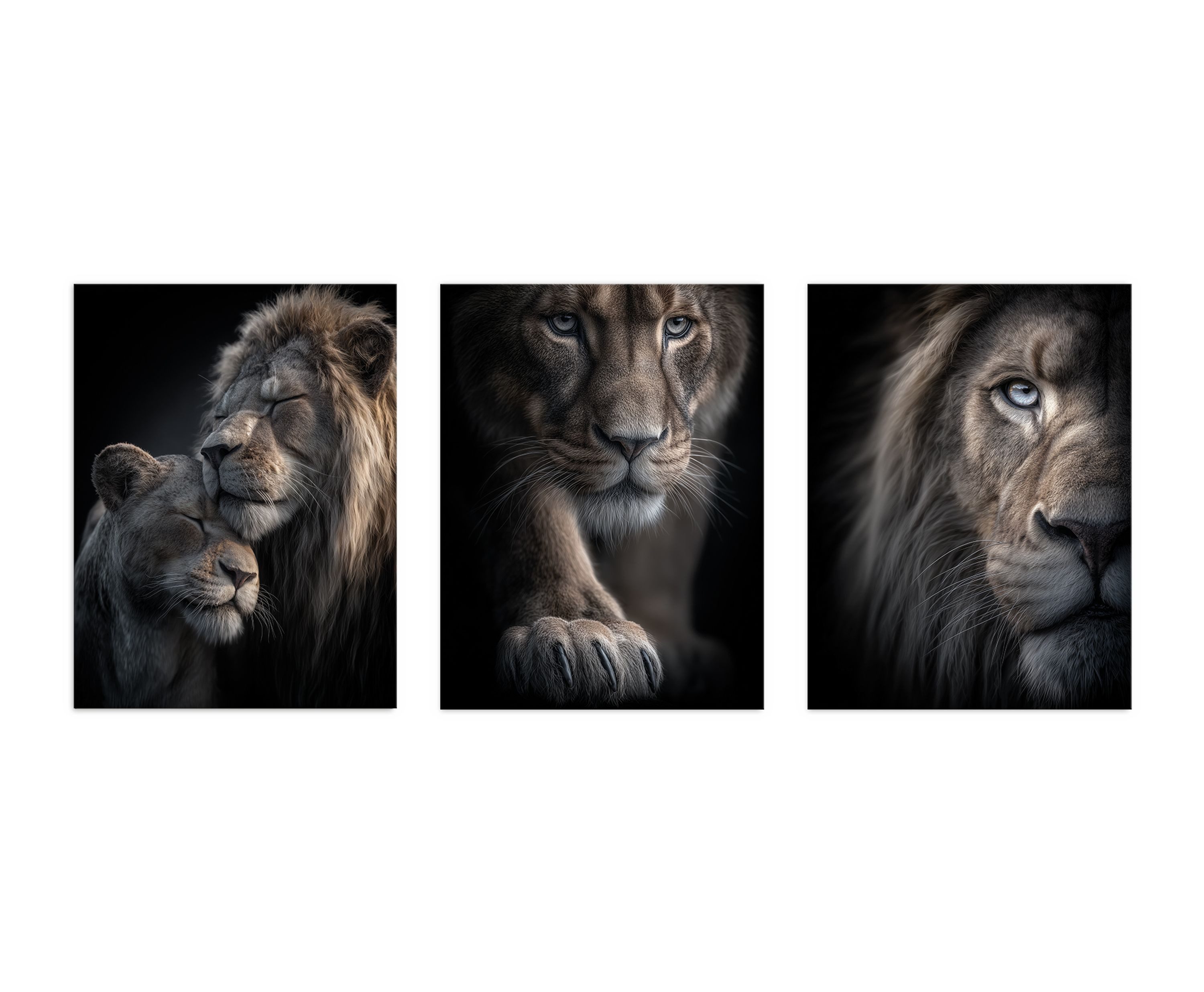 artissimo Mehrteilige Bilder Wandbilder-Set 3er-Set / moderne Wanddeko / Wohnzimmer Schlafzimmer, Tiere: Löwen-Portraits in schwarz braun – Bild 5 von 5