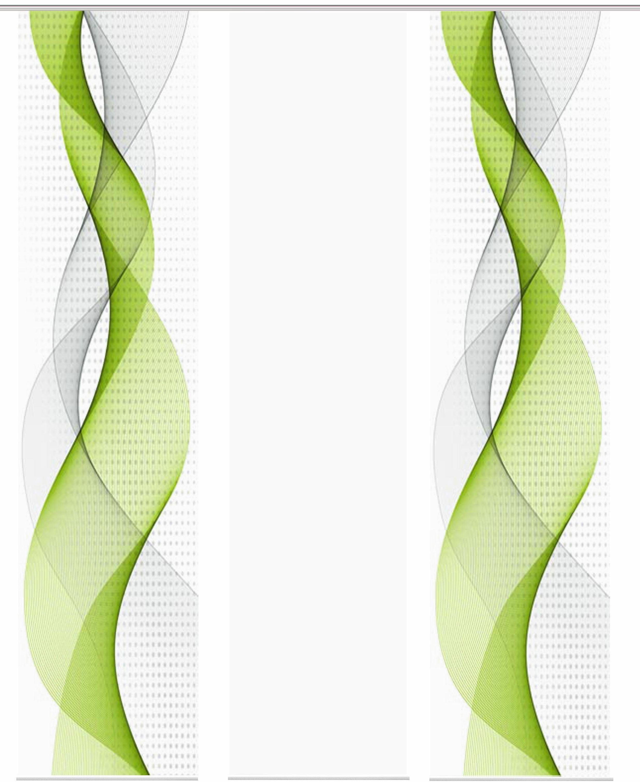 HOME WOHNIDEEN Schiebegardine OPALIA 3ER SET (3 St), Paneelwagen, halbtransparent, Microfaser, HxB: 245x60