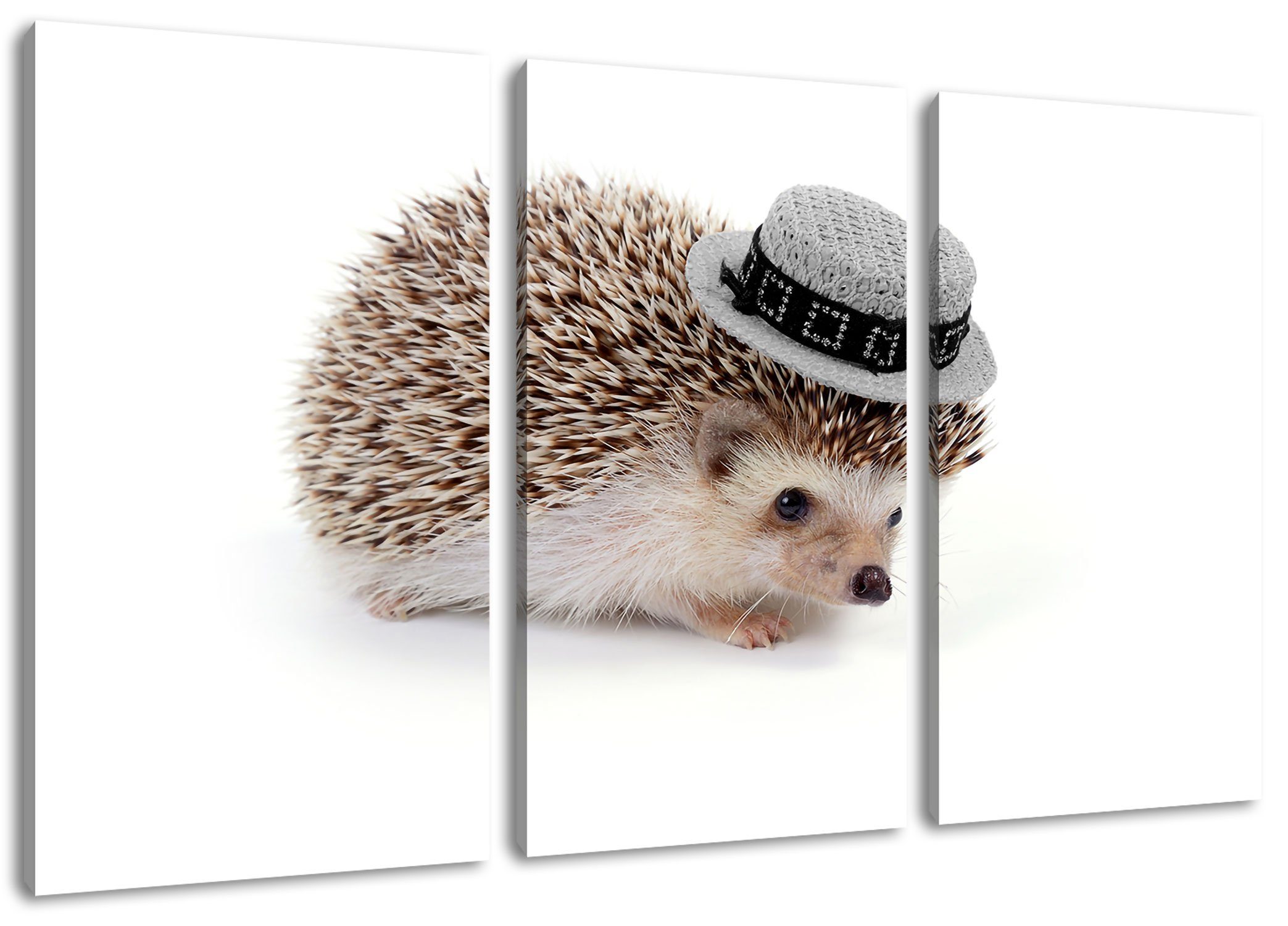 Pixxprint Leinwandbild süßer Igel mit Hut, süßer Igel mit Hut 3Teiler ...