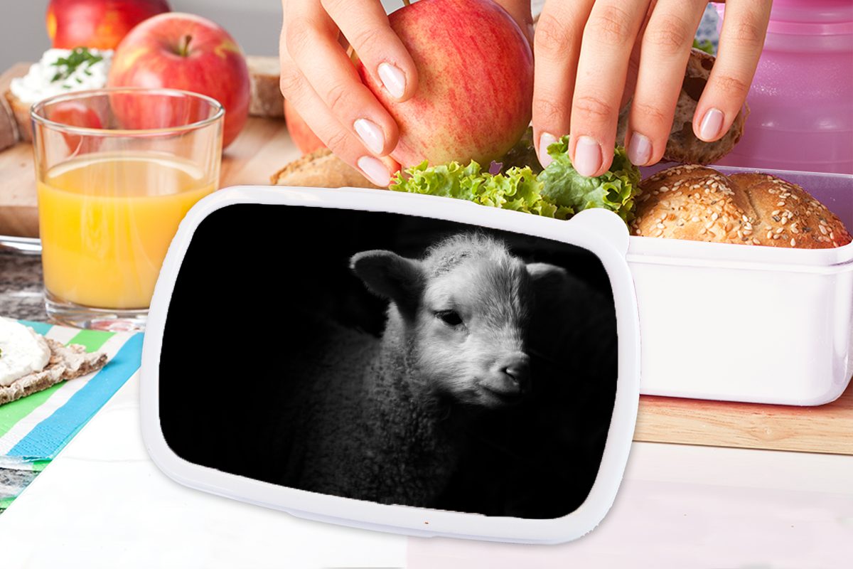 Lunchbox Mädchen Brotdose, Brotbox weiß Schatten, - Kunststoff, Lamm und Kinder für (2-tlg), und MuchoWow Jungs für Erwachsene, - Schaf