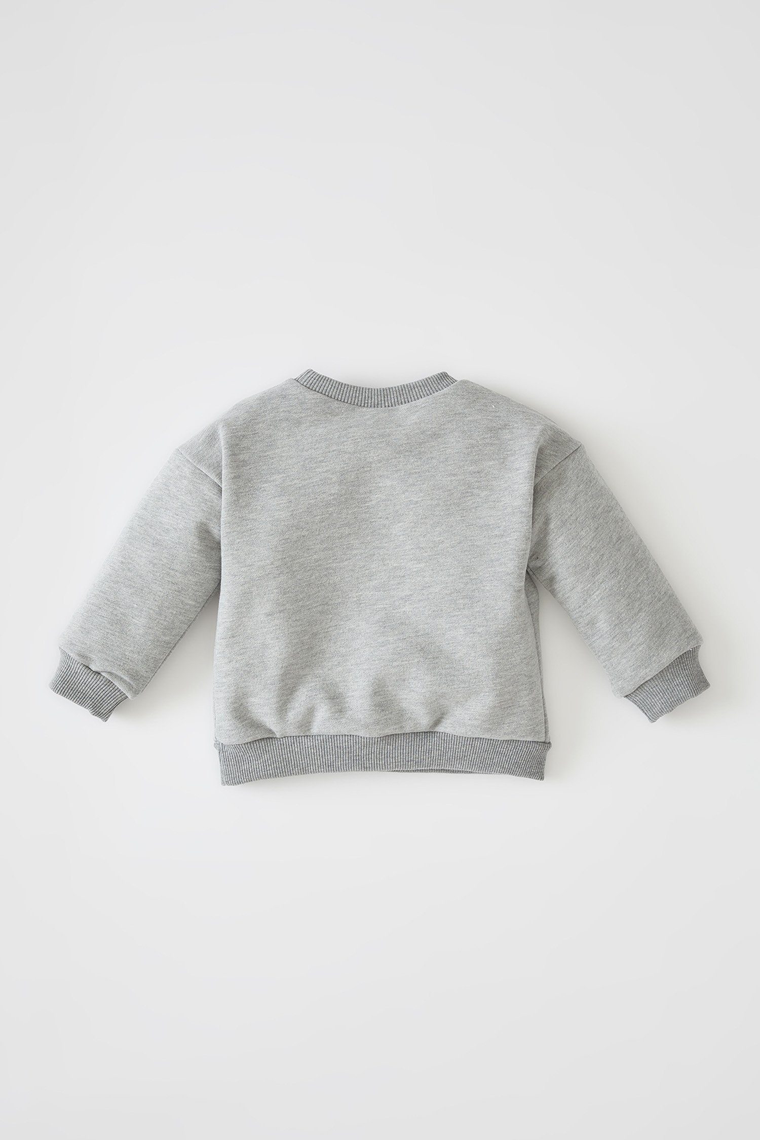 Kinder Sweater DeFacto Sweatshirt BabyBoy Sweatshirt REGULAR FIT