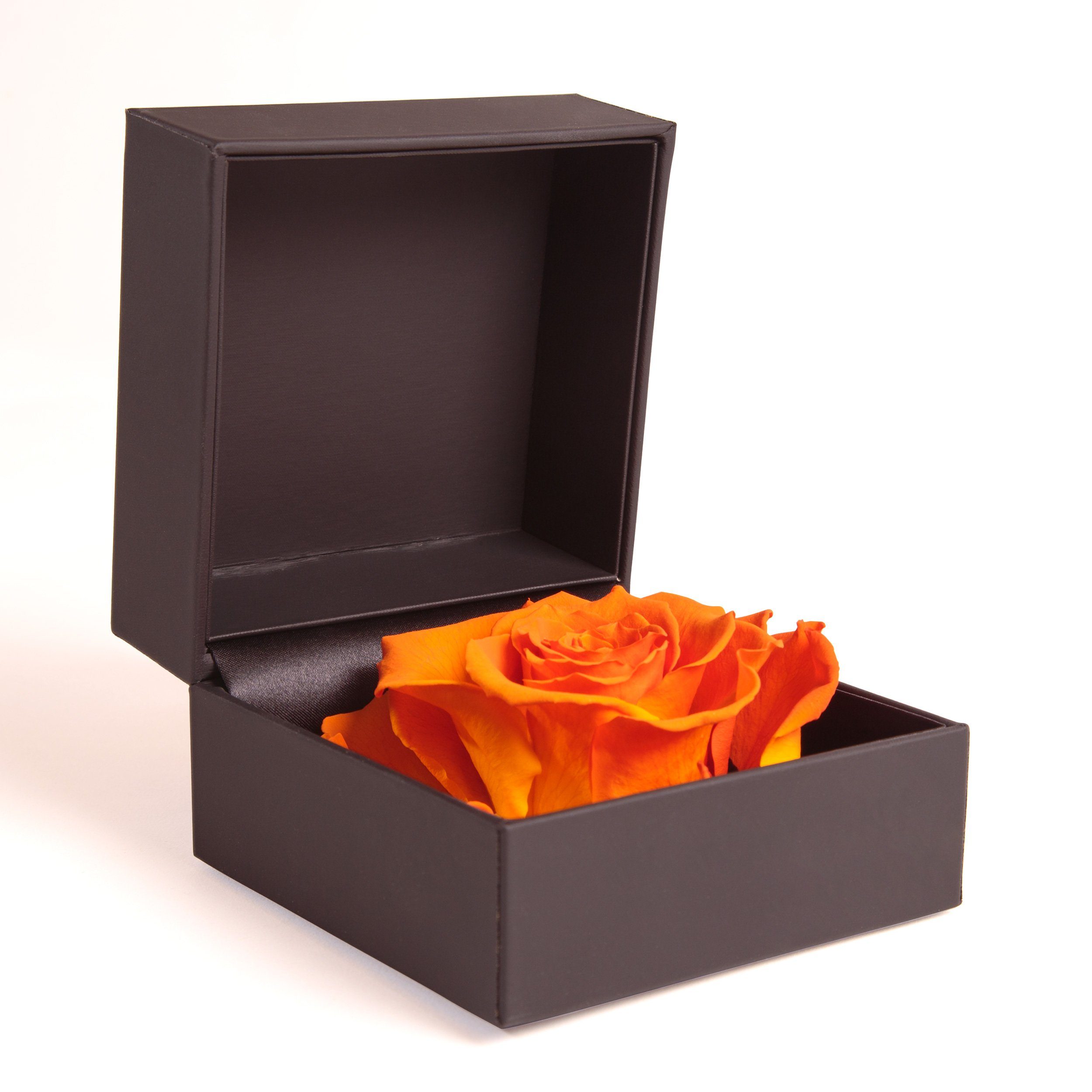 Kunstblume Rosenbox Ringbox Groß cm, Ringdose Langlebige Heidelberg, in Rose 9 Orange Infinity konserviert Rose Rose, Höhe Box SCHULZ ROSEMARIE