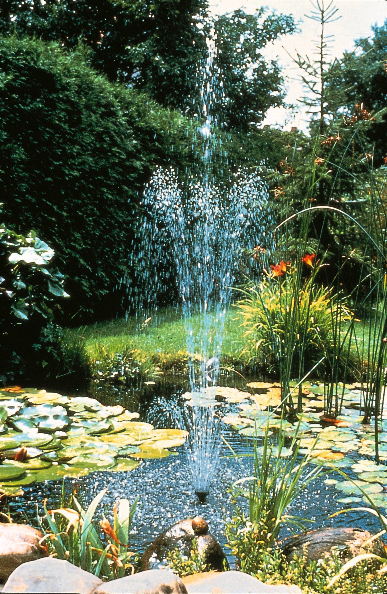 Springbrunnenpumpe Elimax 4000