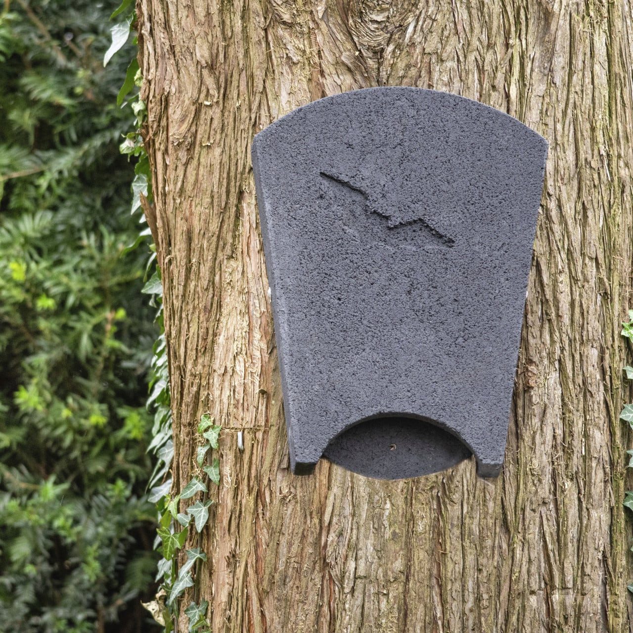 Wildlife Nistkasten CJ Wildbird Fledermausnistkasten Beaumaris