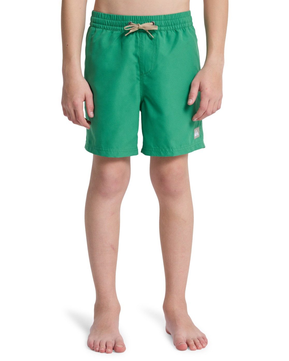 Quiksilver Badeshorts Everyday Volley 14"