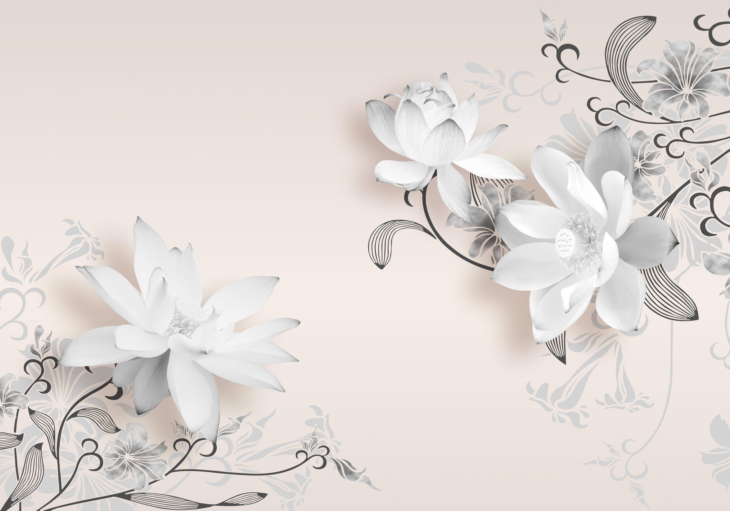 wandmotiv24 Fototapete weiße Blumen Blüten, glatt, Wandtapete, Motivtapete, matt, Vliestapete