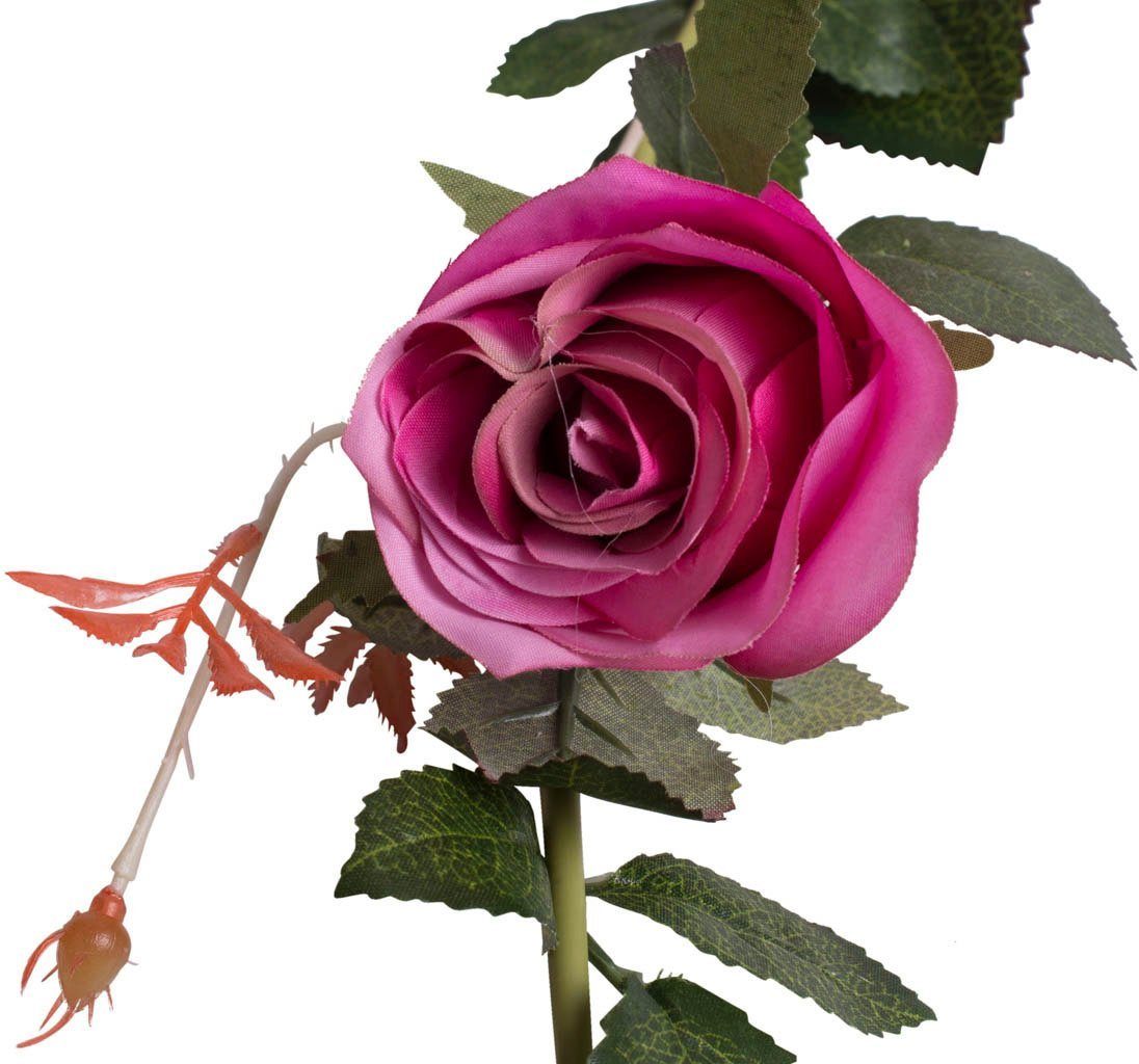 Kunstblume Rosengirlande Dijon Rose, Botanic-Haus, Höhe 10 cm – Bild 3 von 3