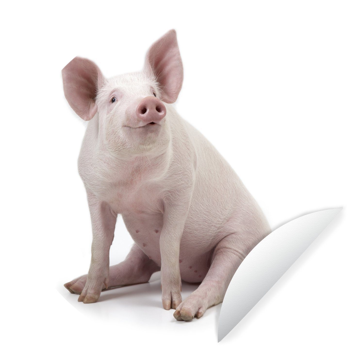MuchoWow Wandsticker Schwein - Bauernhoftiere - Weiß (1 St), Tapetenkreis für Kinderzimmer, Tapetenaufkleber, Rund, Wohnzimmer