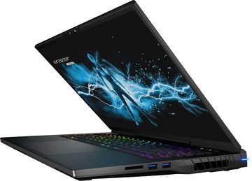 Medion® Beast X40 Gaming-Notebook (43,2 cm/17 Zoll, Intel Core i9 13900HX, 2000 GB SSD)