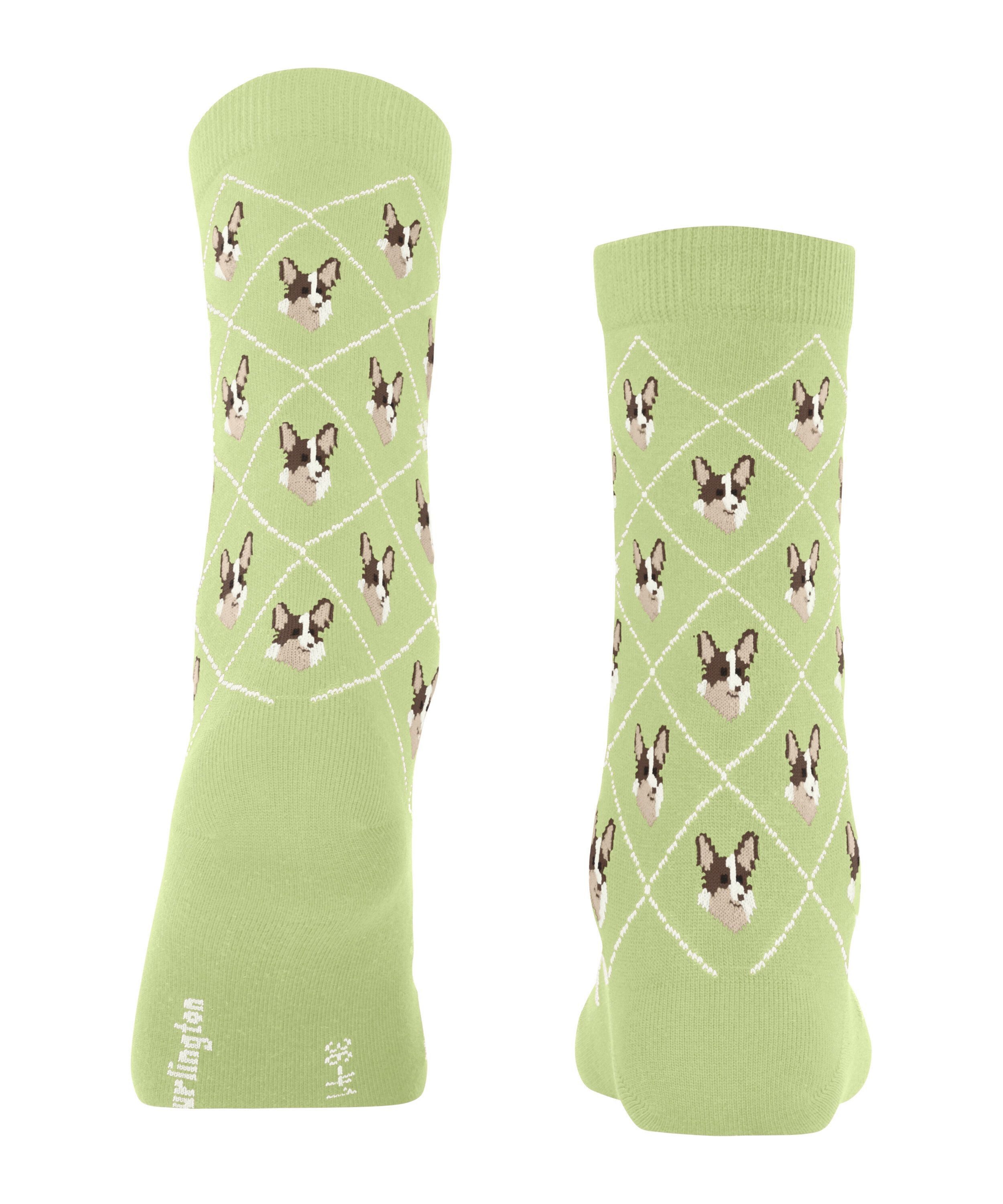 Burlington Socken