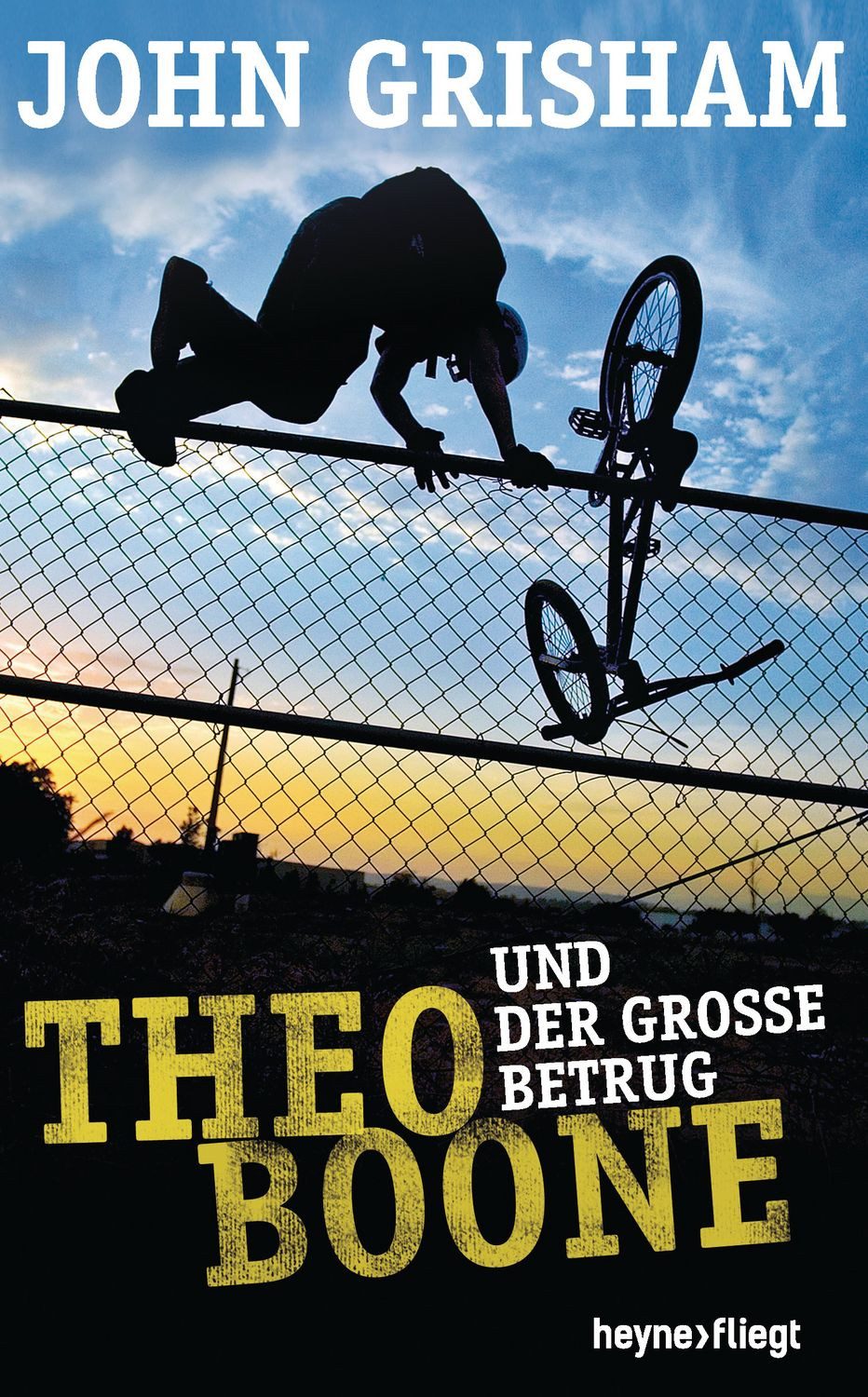 Jugendbuch Theo Boone und der große Betrug John Grisham