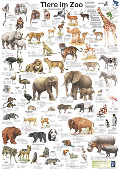 Close Up Poster Tiere im Zoo Poster deutsch DIN A1 59,4 x 84,1 cm
