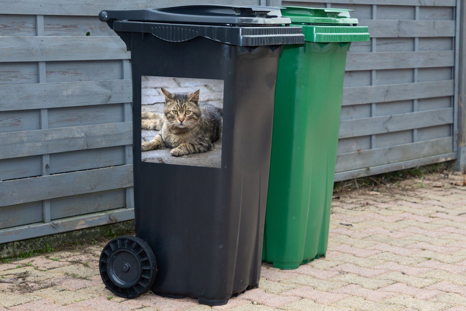 Mülltonne, Sticker, - Wandsticker Container, - Braun Mädchen Kind - - MuchoWow Katze Kinder Jungen - - Mülleimer-aufkleber, Abfalbehälter (1 Tier St),