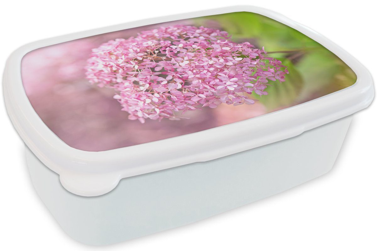 MuchoWow Lunchbox Nahaufnahme einer Hortensie, (2-tlg), für und für Kinder Brotdose, Brotbox weiß Kunststoff, und Erwachsene, Jungs Mädchen