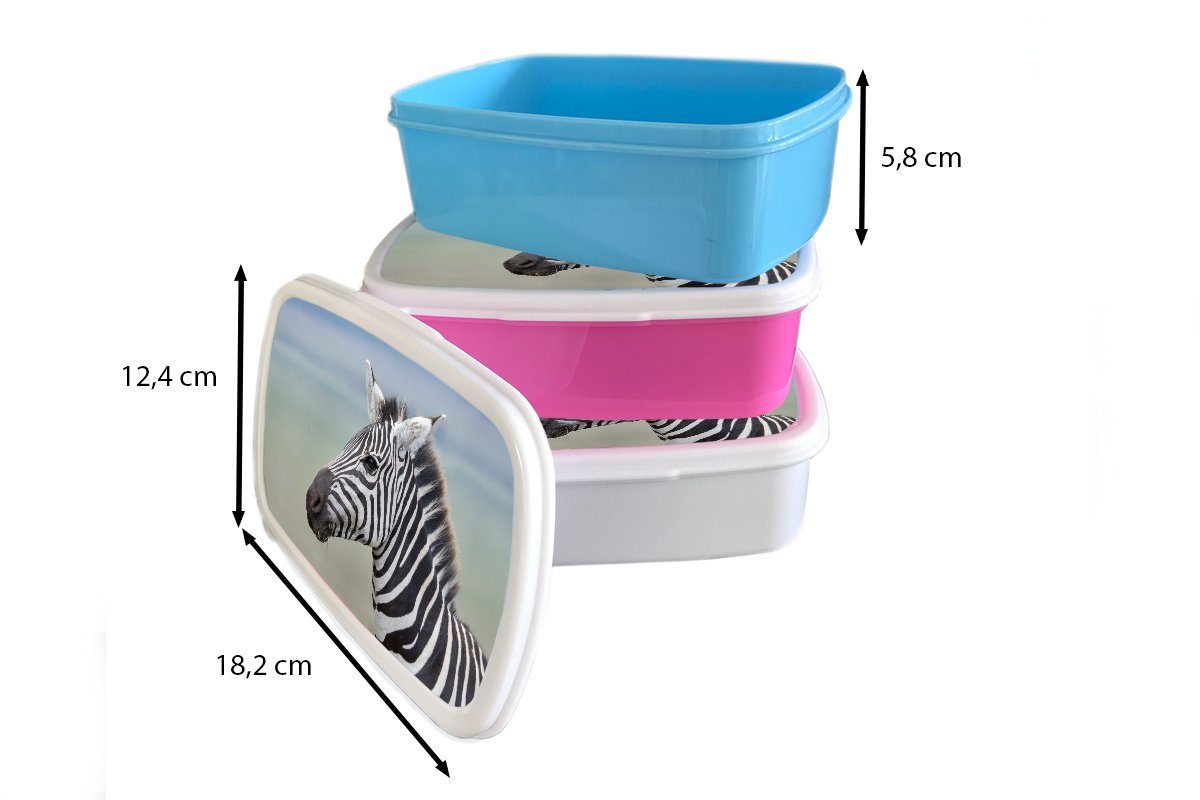 Snackbox, (2-tlg), Nahaufnahme, Kunststoff, Lunchbox Brotdose für Kinder, Erwachsene, Kunststoff Brotbox MuchoWow Zebra rosa Mädchen,