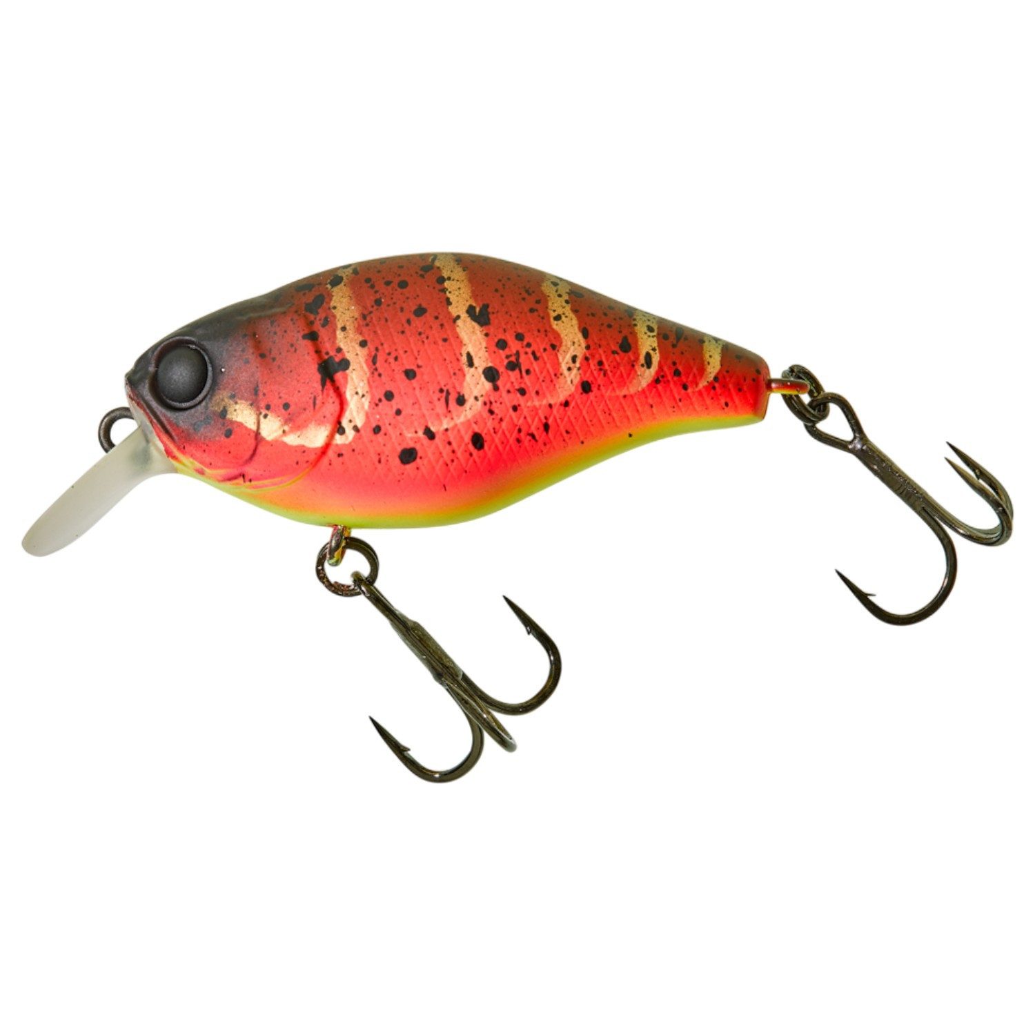 Spicy Louisy Craw