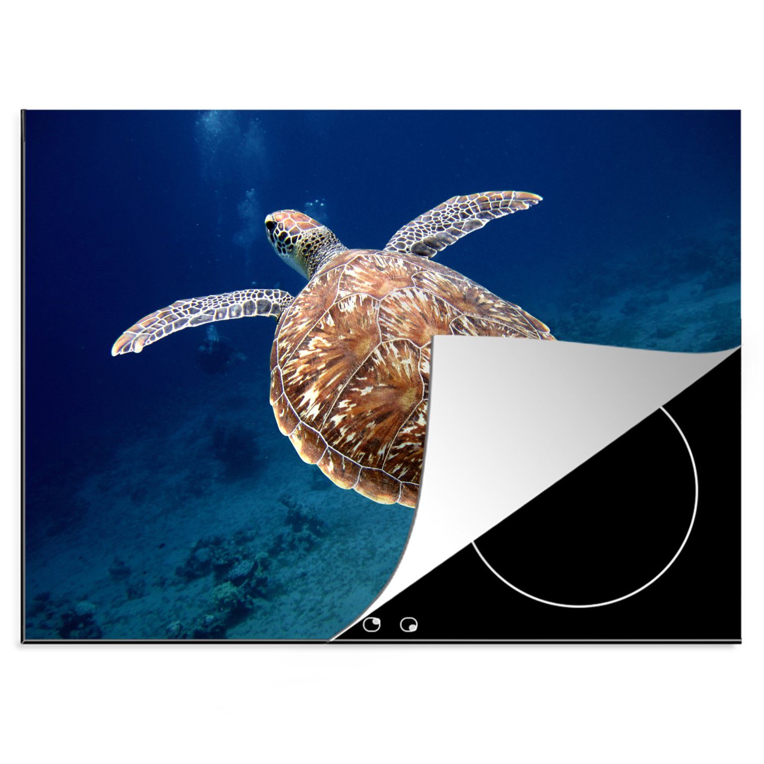 MuchoWow Herdblende-/Abdeckplatte Eine unter Wasser schwimmende Schildkröte, Vinyl, (1 tlg), 70x52 cm, Mobile Arbeitsfläche nutzbar, Ceranfeldabdeckung