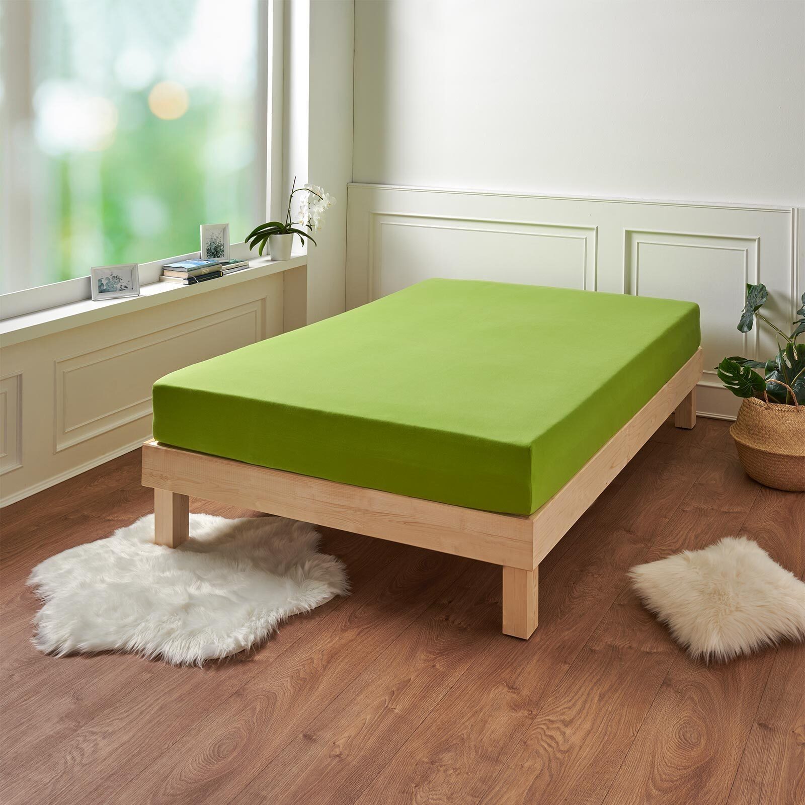 TRAUMSCHLAF Spannbettlaken Premium Interlock, Jersey, Gummizug: günstig online kaufen