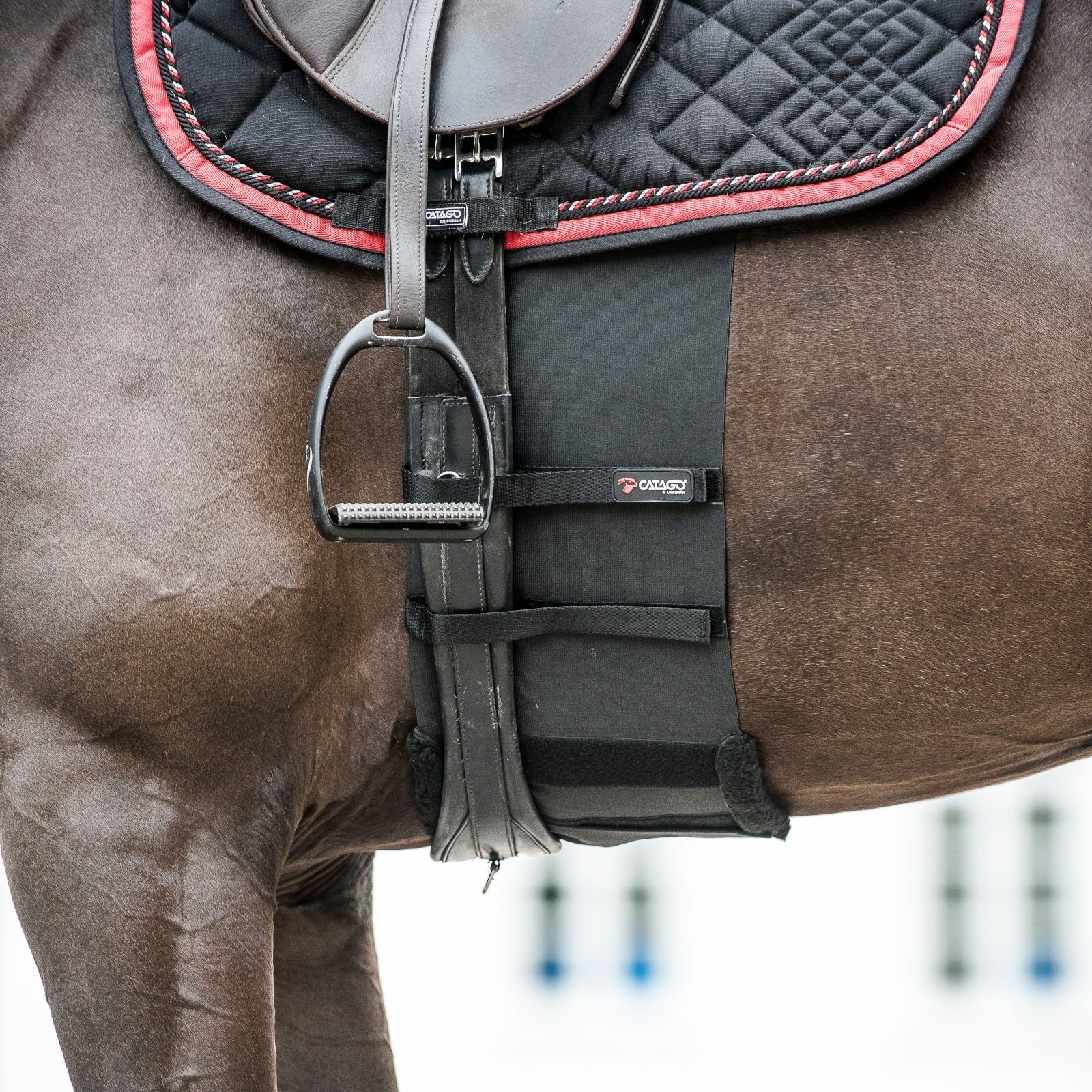 CATAGO Pferdebandage Body Schwarz - Körperschutz Pferde - für Shield