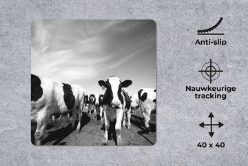 MuchoWow Gaming Mauspad Eine große Herde friesischer Kühe - schwarz und weiß (1-St), Mousepad mit Rutschfester Unterseite, Gaming, 40x40 cm, XXL, Großes