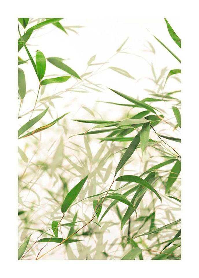 Komar Poster Bamboo Leaves, Blätter, Pflanzen (1 St), Kinderzimmer,  Schlafzimmer, Wohnzimmer